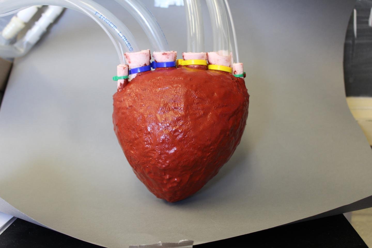artificial heart using elastomer foam