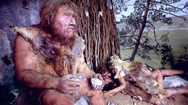 Neanderthal DNA is responsible for allergies