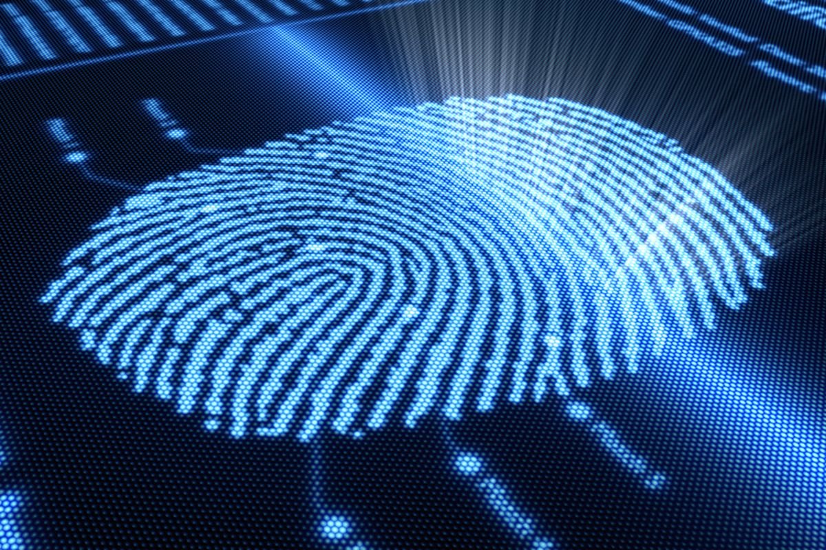 in screen fingerprint sensor