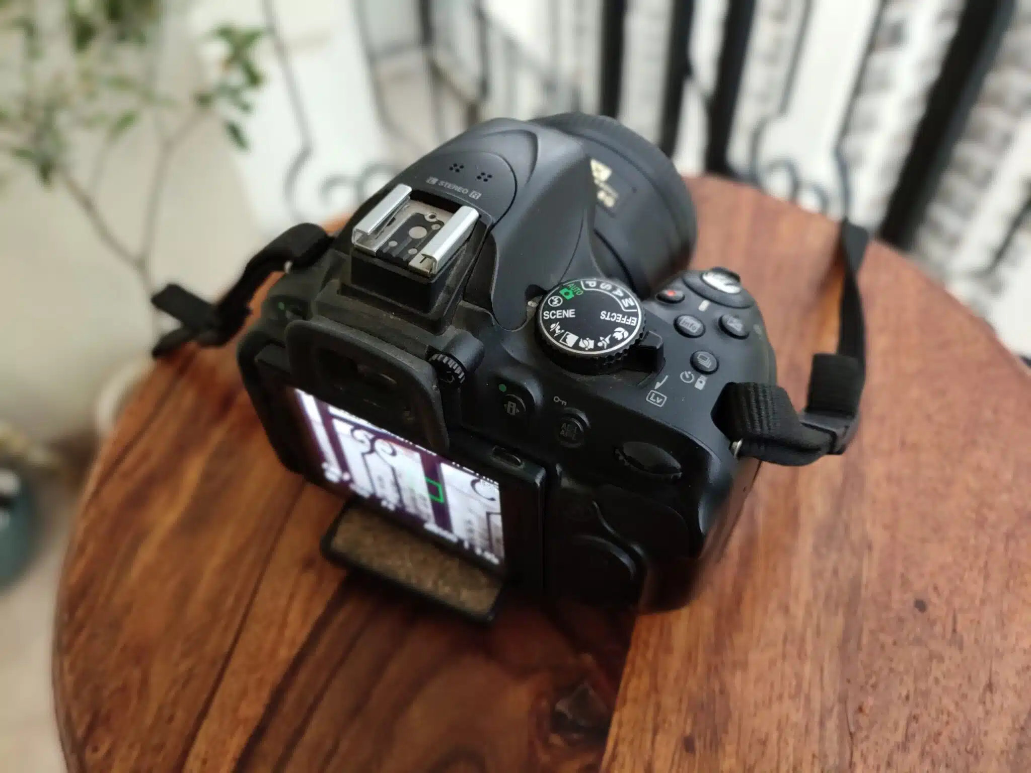 IMG 20180719 184617 scaled 1 scaled