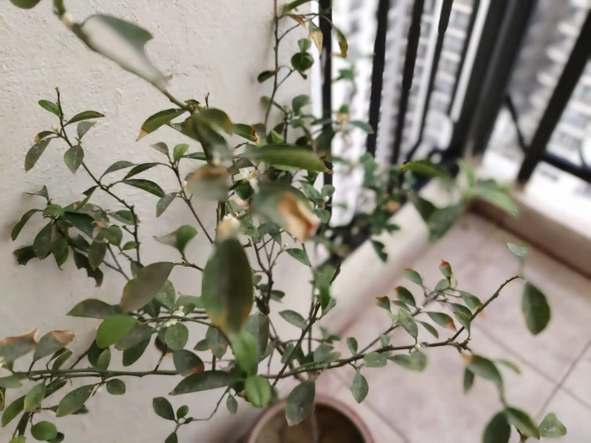 IMG 20180719 184641 scaled 1 scaled