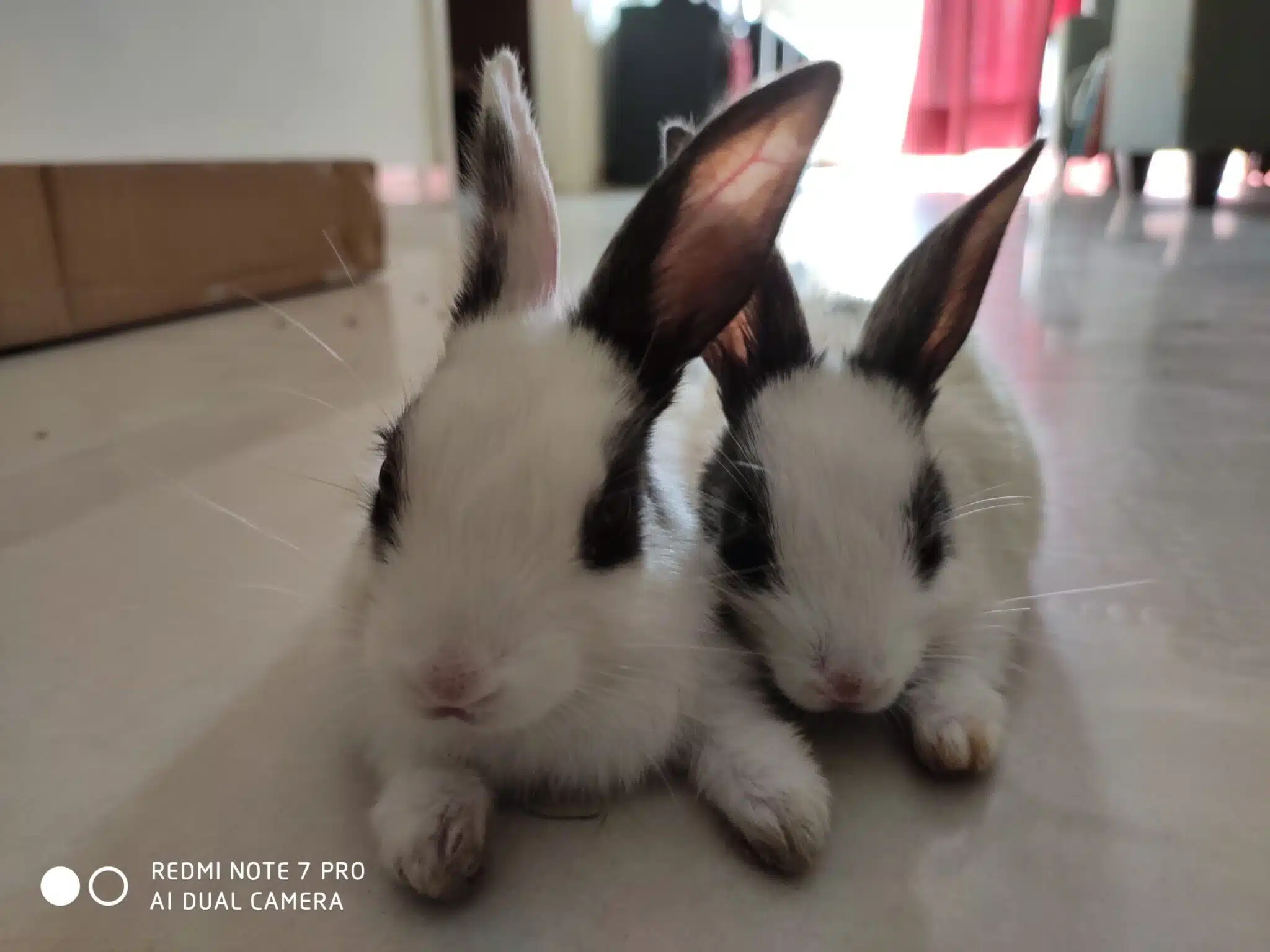 Image01 1 scaled 1 scaled