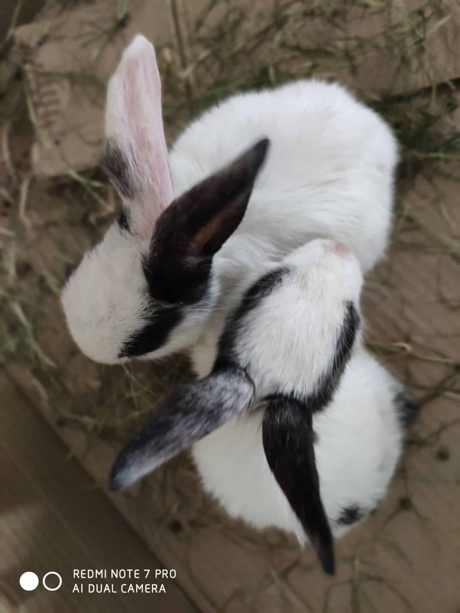 Image02 1 scaled 1 scaled