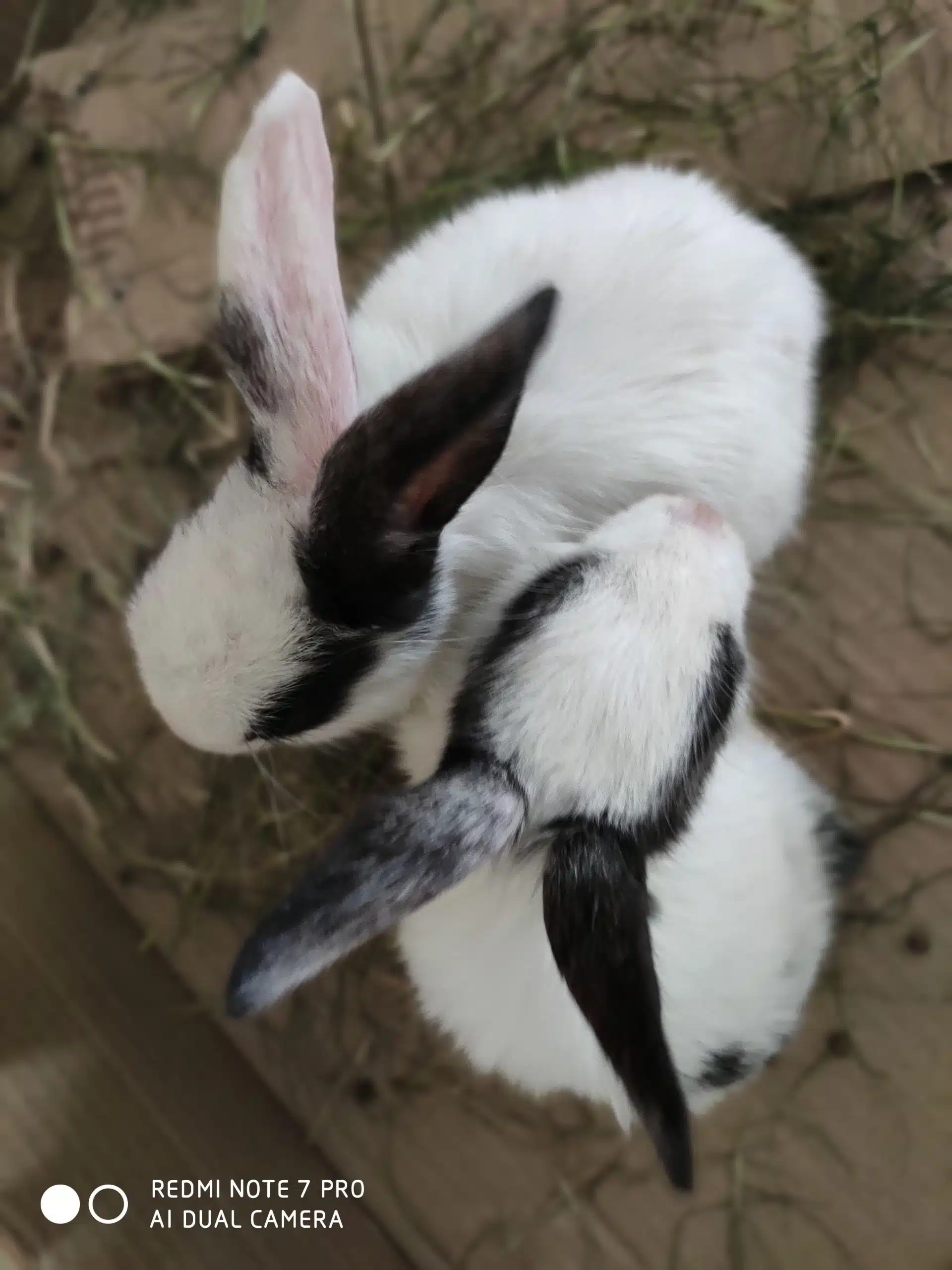 Image02 1 scaled 1 scaled