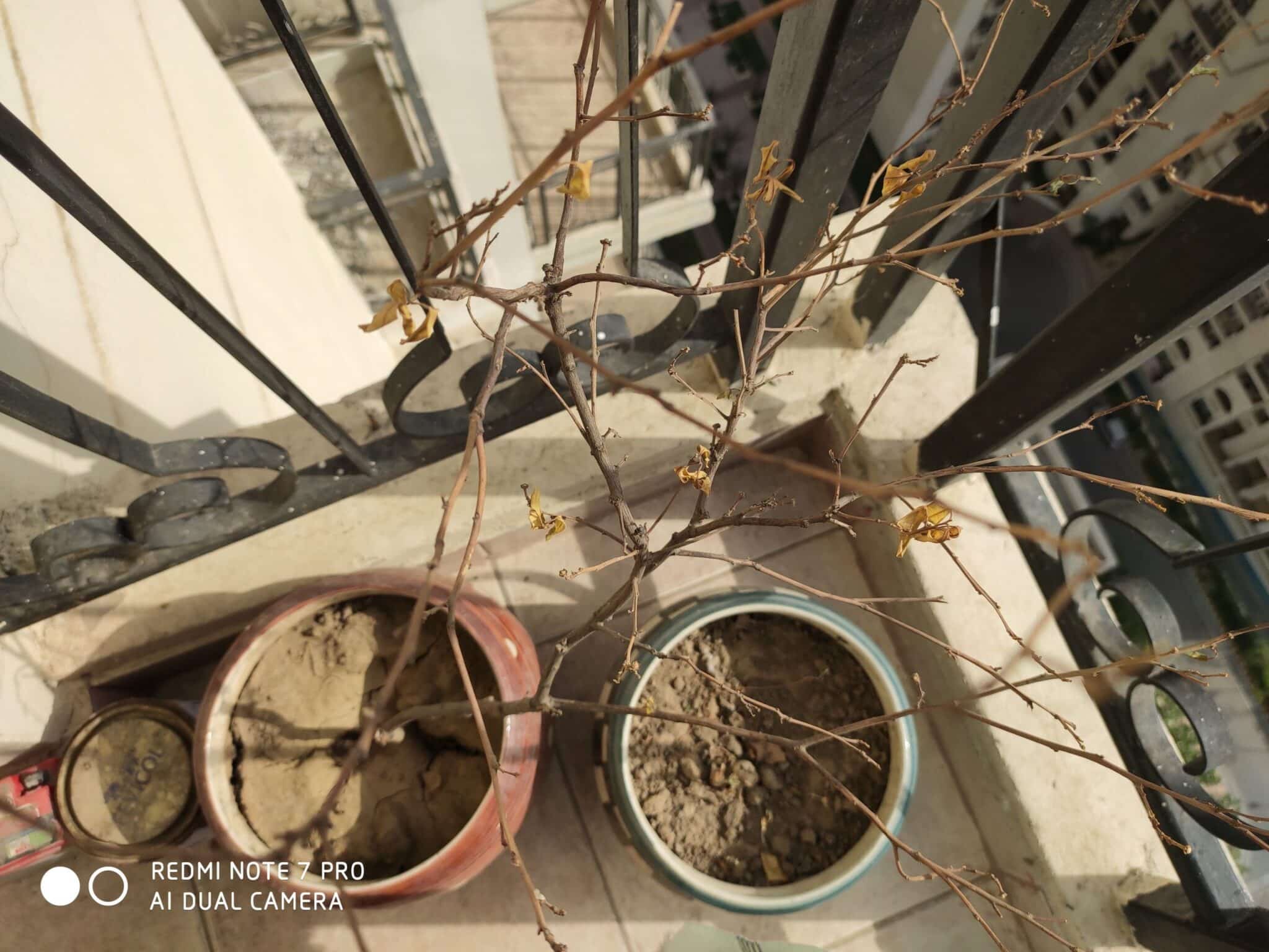 Image03 1 scaled 1 scaled