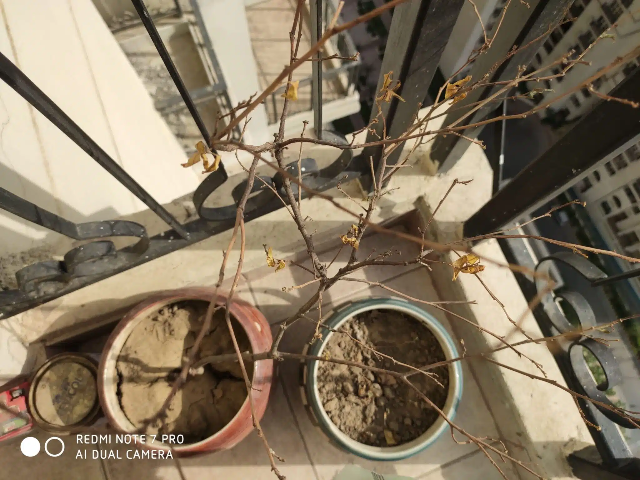 Image03 1 scaled 1 scaled