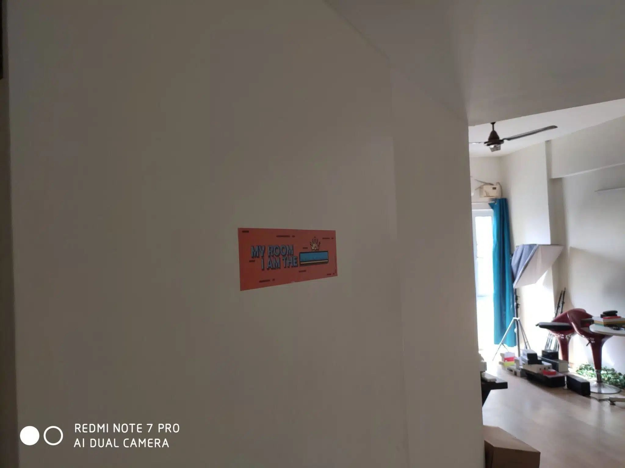 Image13 scaled 1 scaled