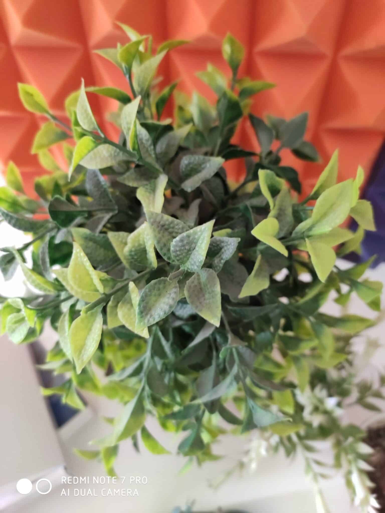 Image14 scaled 1 scaled