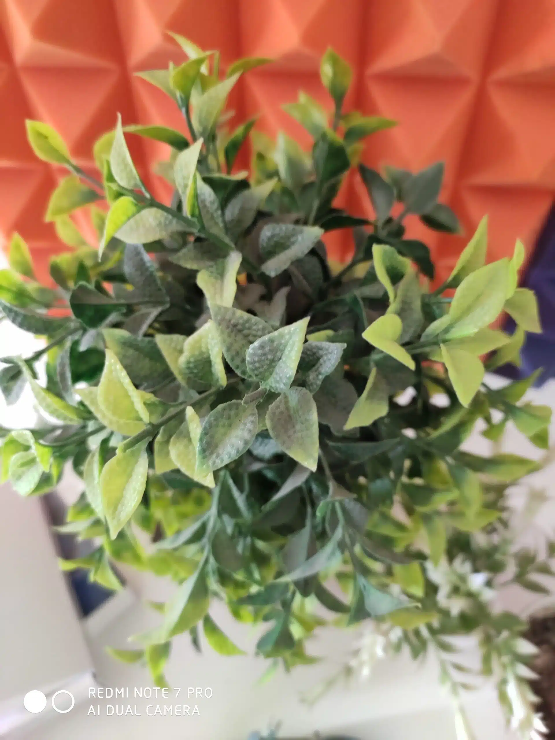 Image14 scaled 1 scaled