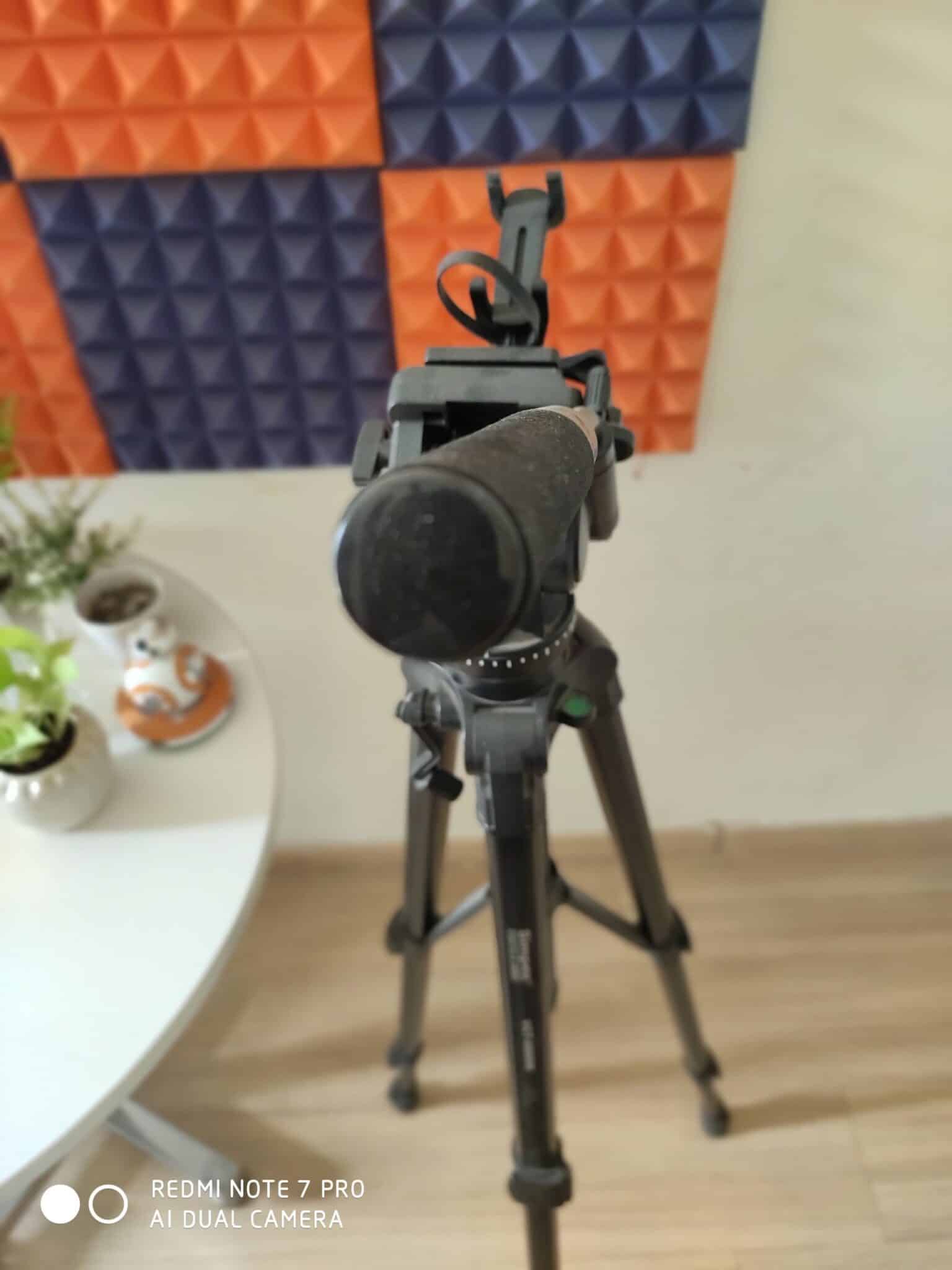 Image15 scaled 1 scaled