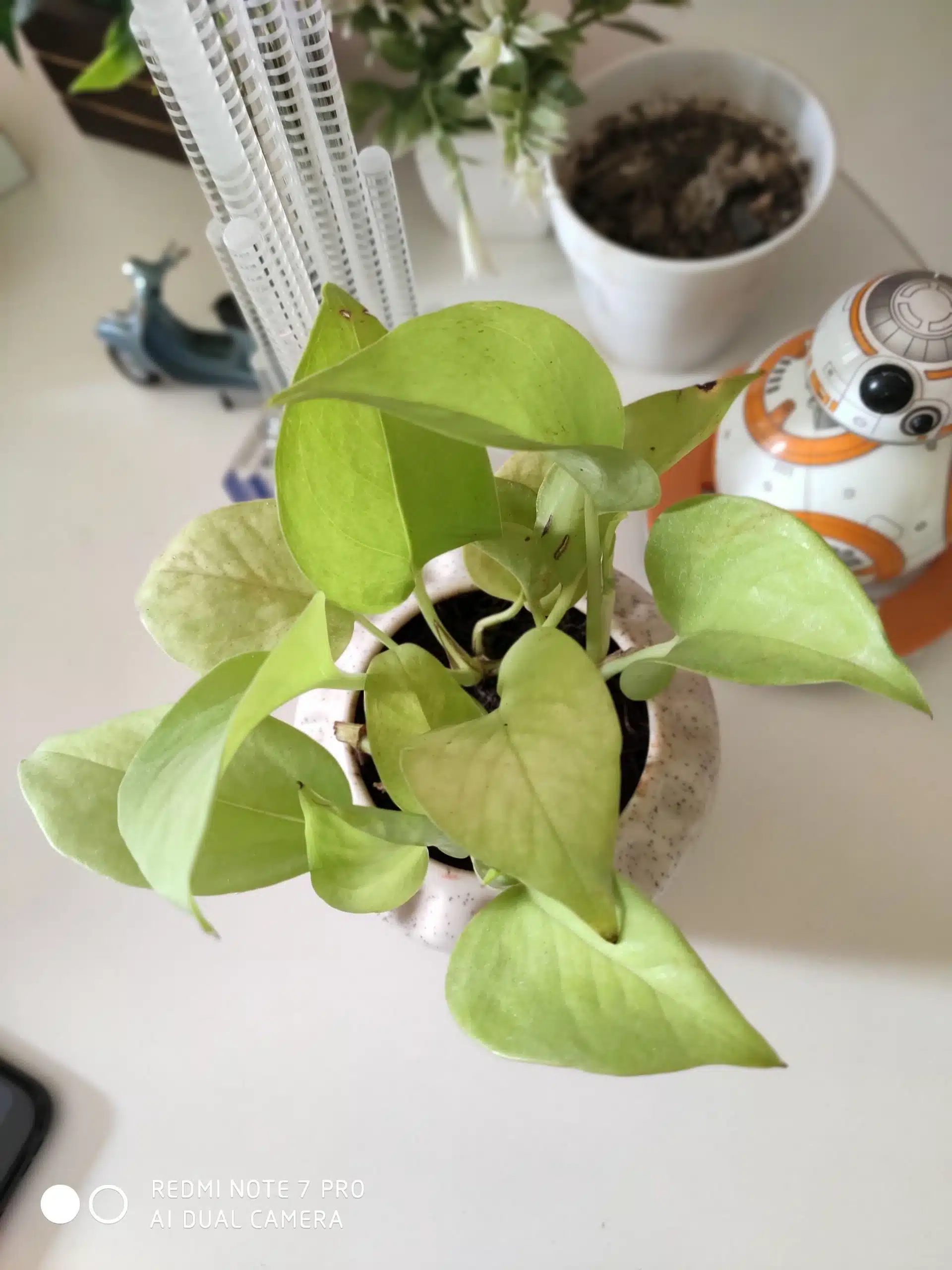 Image16 scaled 1 scaled