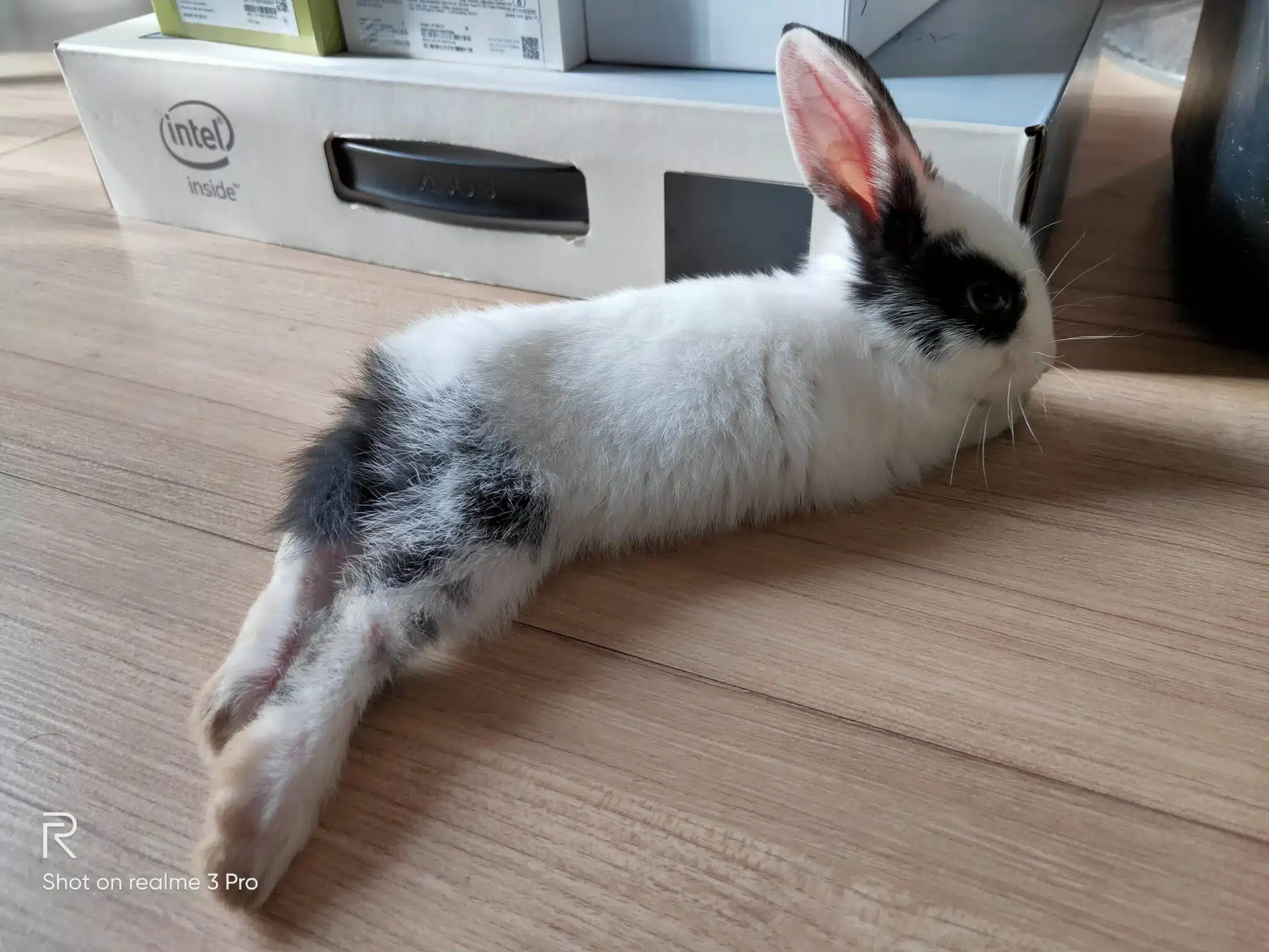 realme 3 pro camera samples 4 scaled 1 scaled