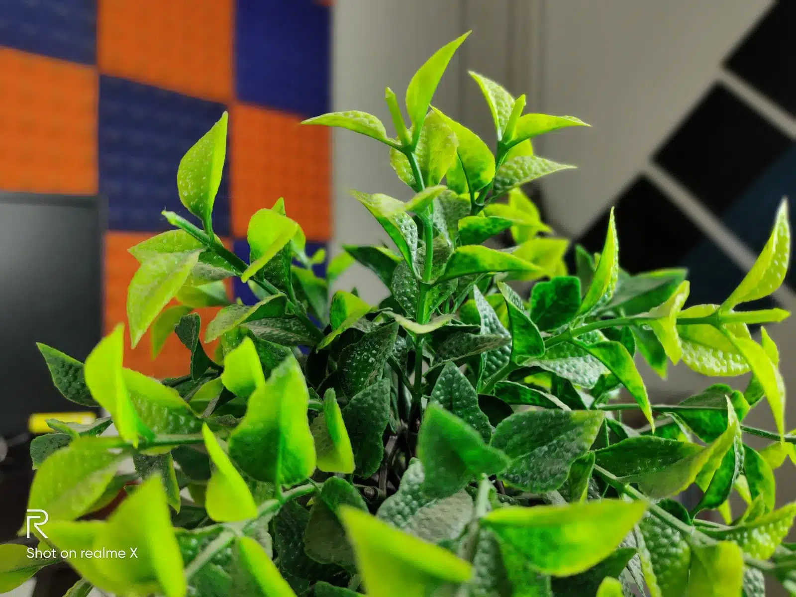 Realme X Review- A perfect phone with very few flaws 9 Image03 1