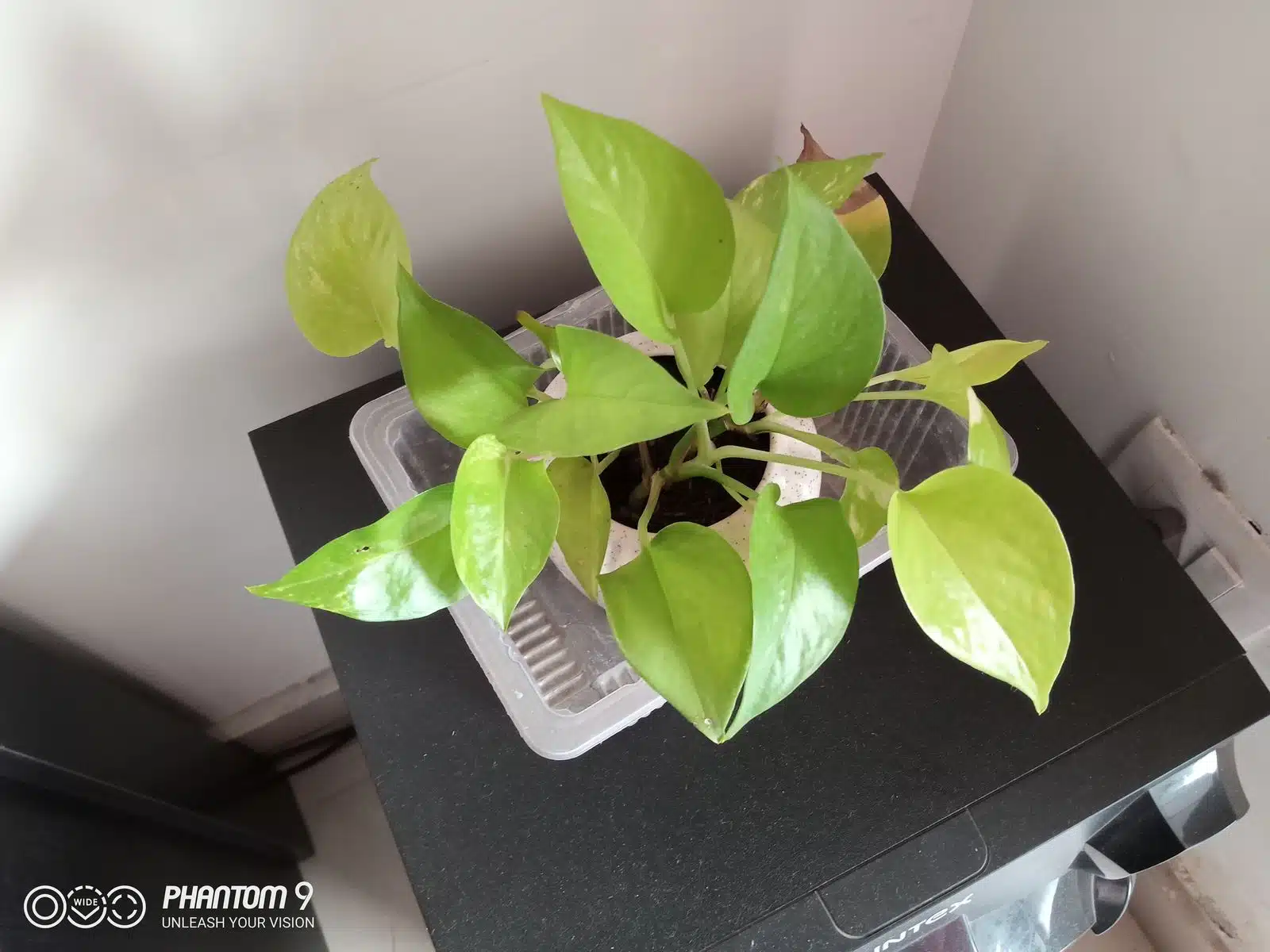 Tecno Phantom 9 Review- A feature packed product! 10 Image05 4