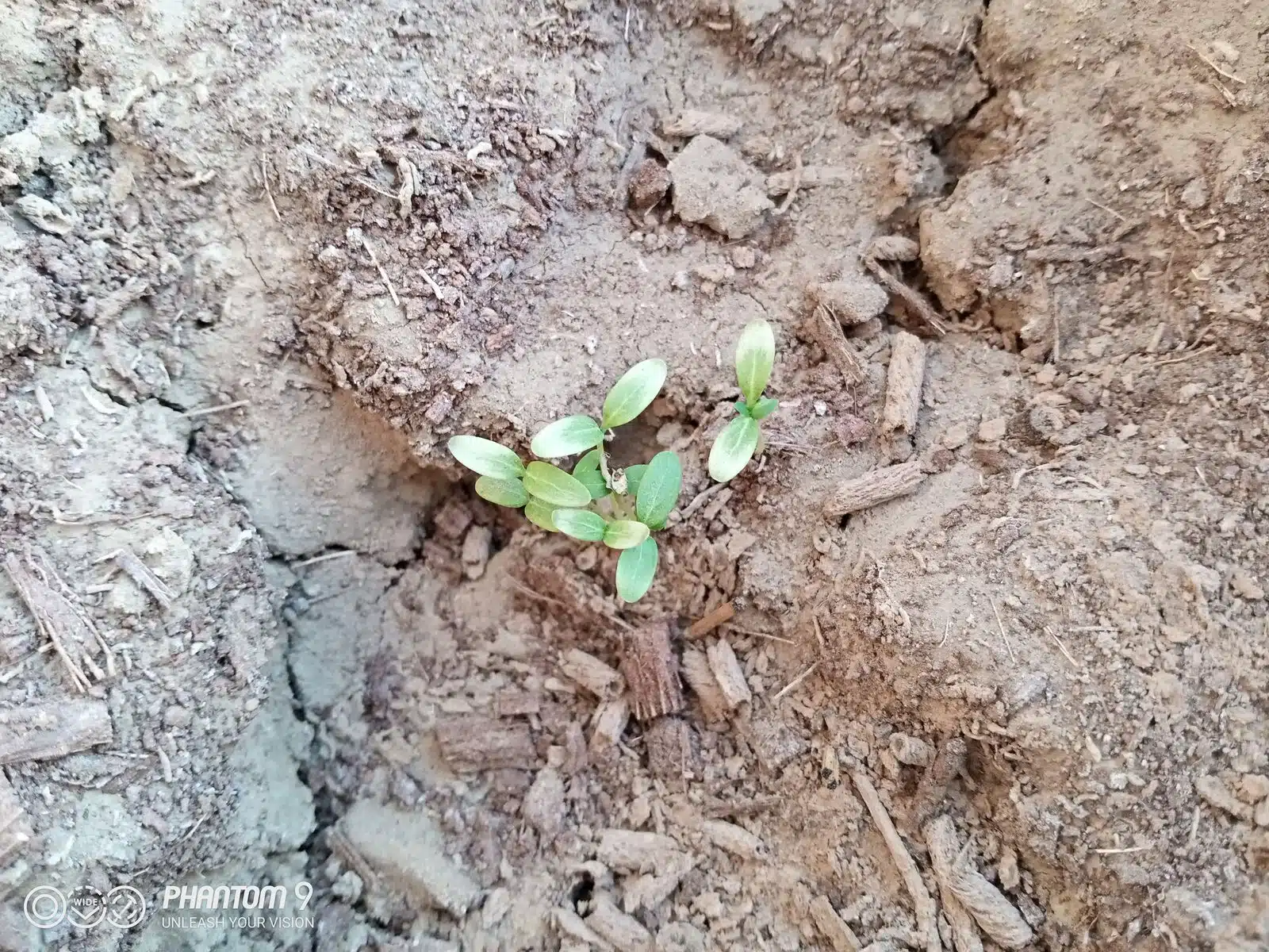 Tecno Phantom 9 Review- A feature packed product! 12 Image07 4