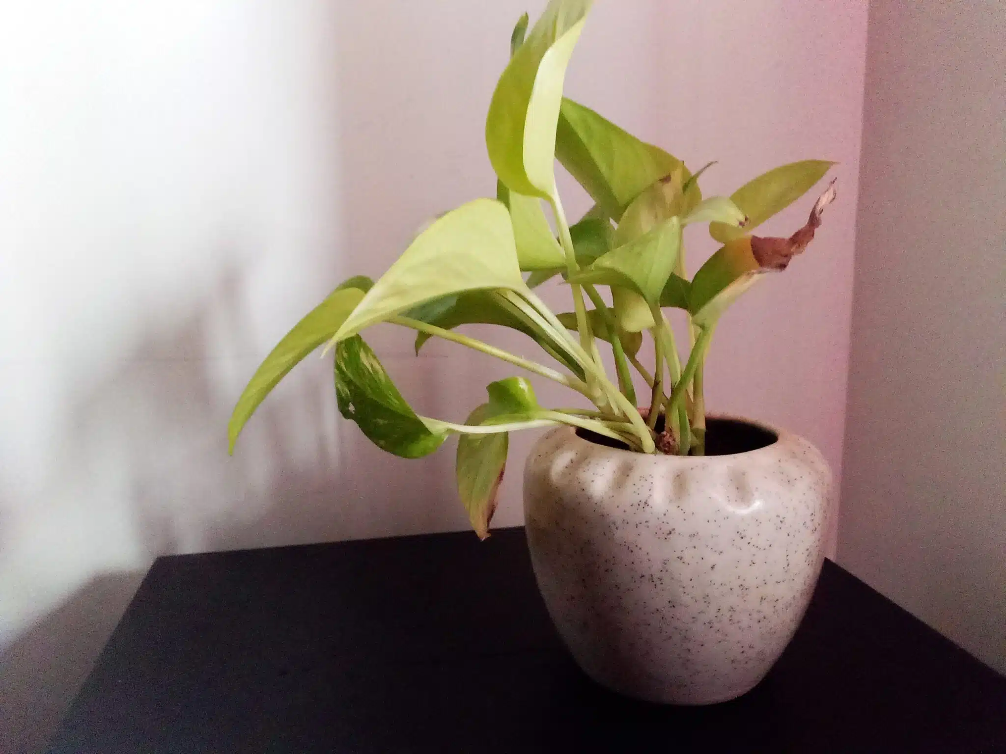 IMG 20190101 151512 511 scaled 1 scaled