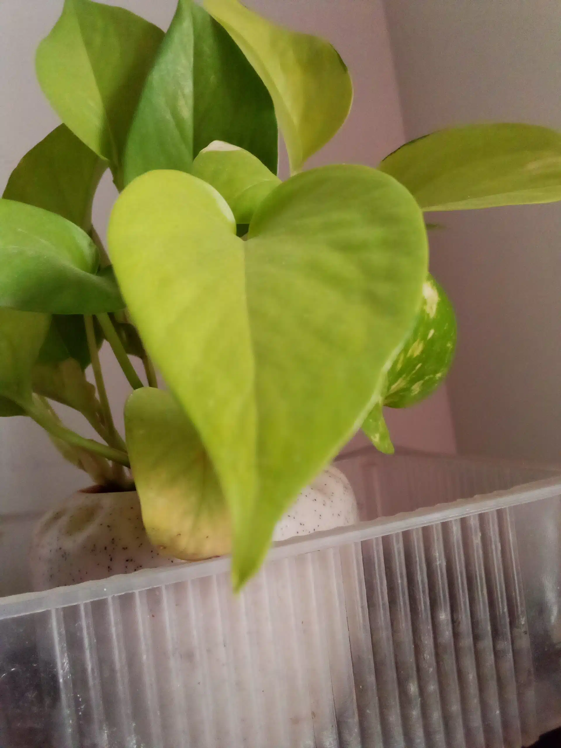 IMG 20190101 151821 721 scaled 1 scaled