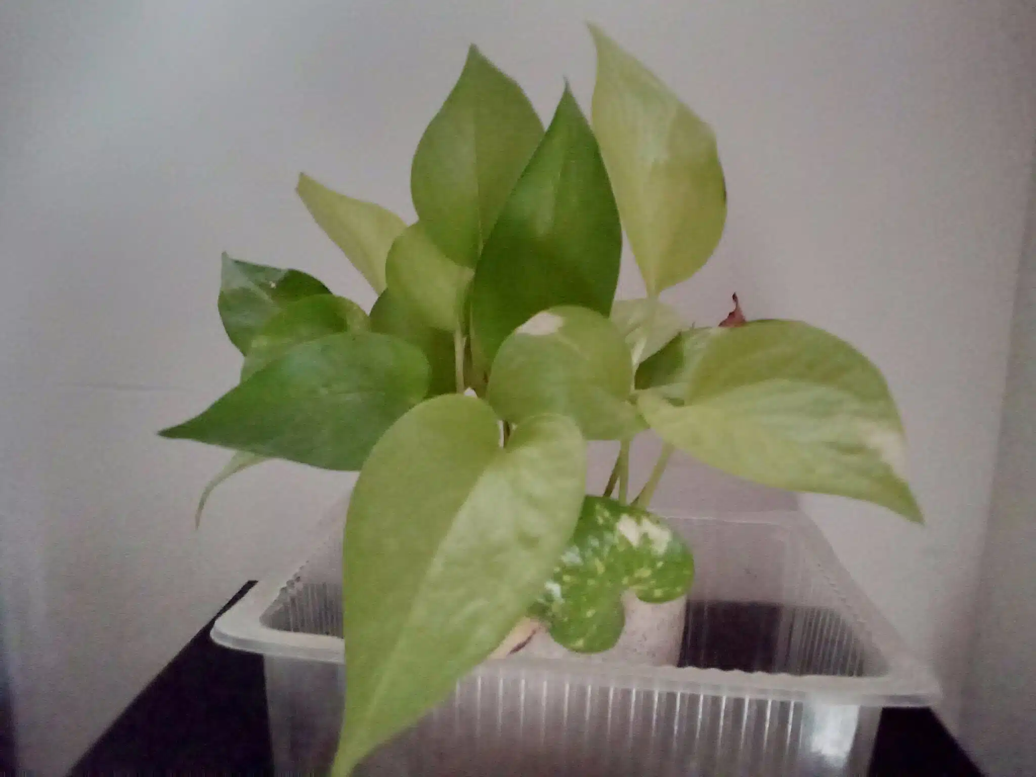 IMG 20190101 152351 974 scaled 1 scaled