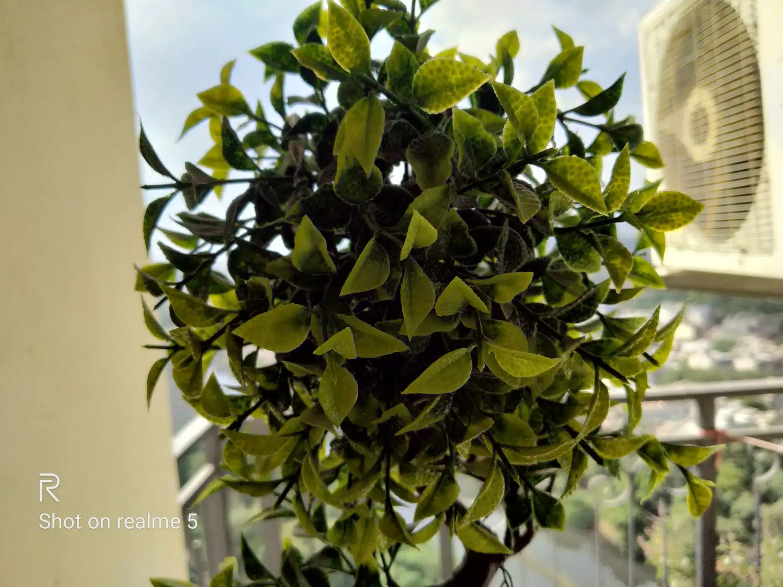 Realme 5 Review - A leap to quad cameras 12 Image01 8