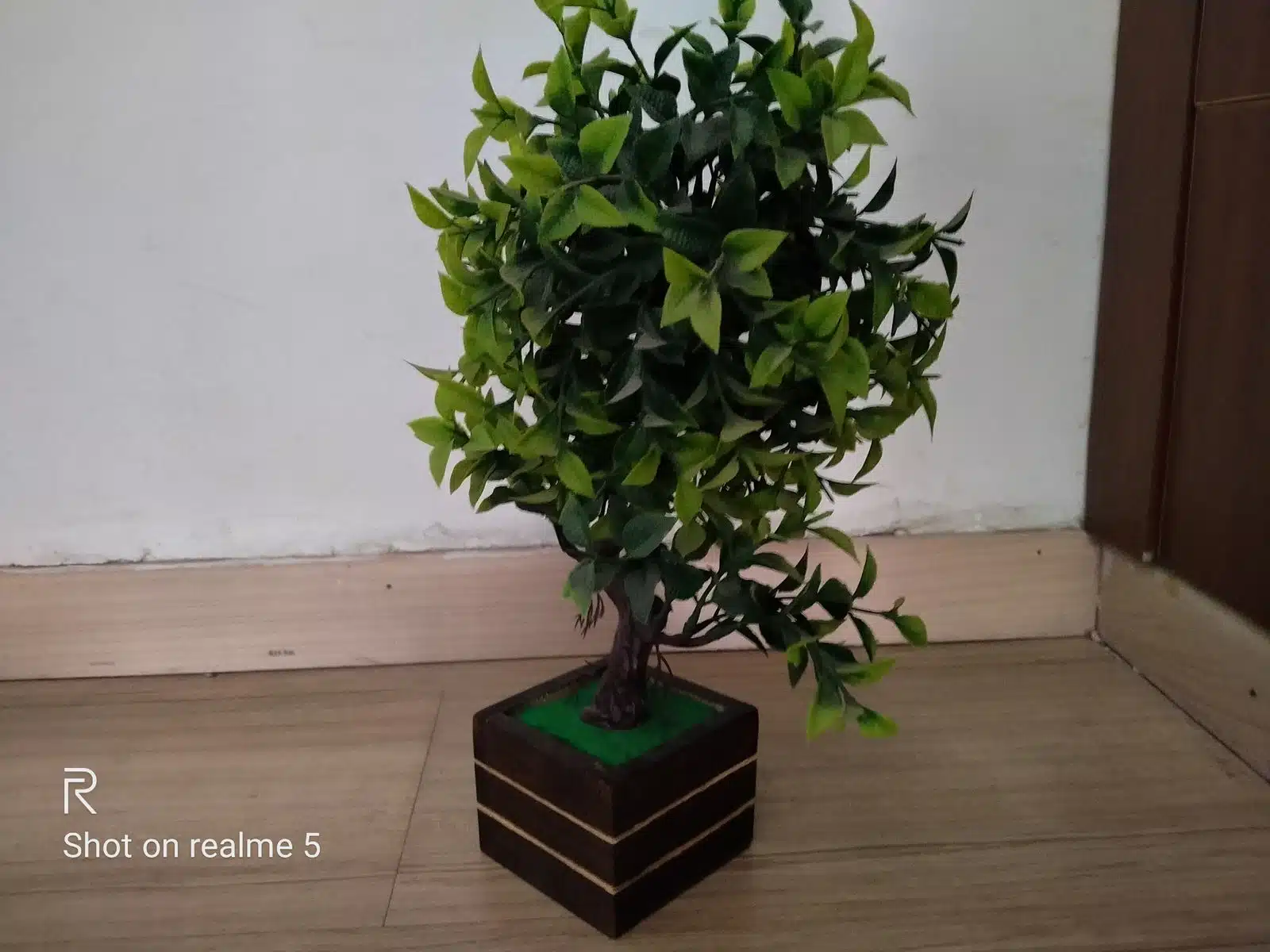 Realme 5 Review - A leap to quad cameras 13 Image02 8