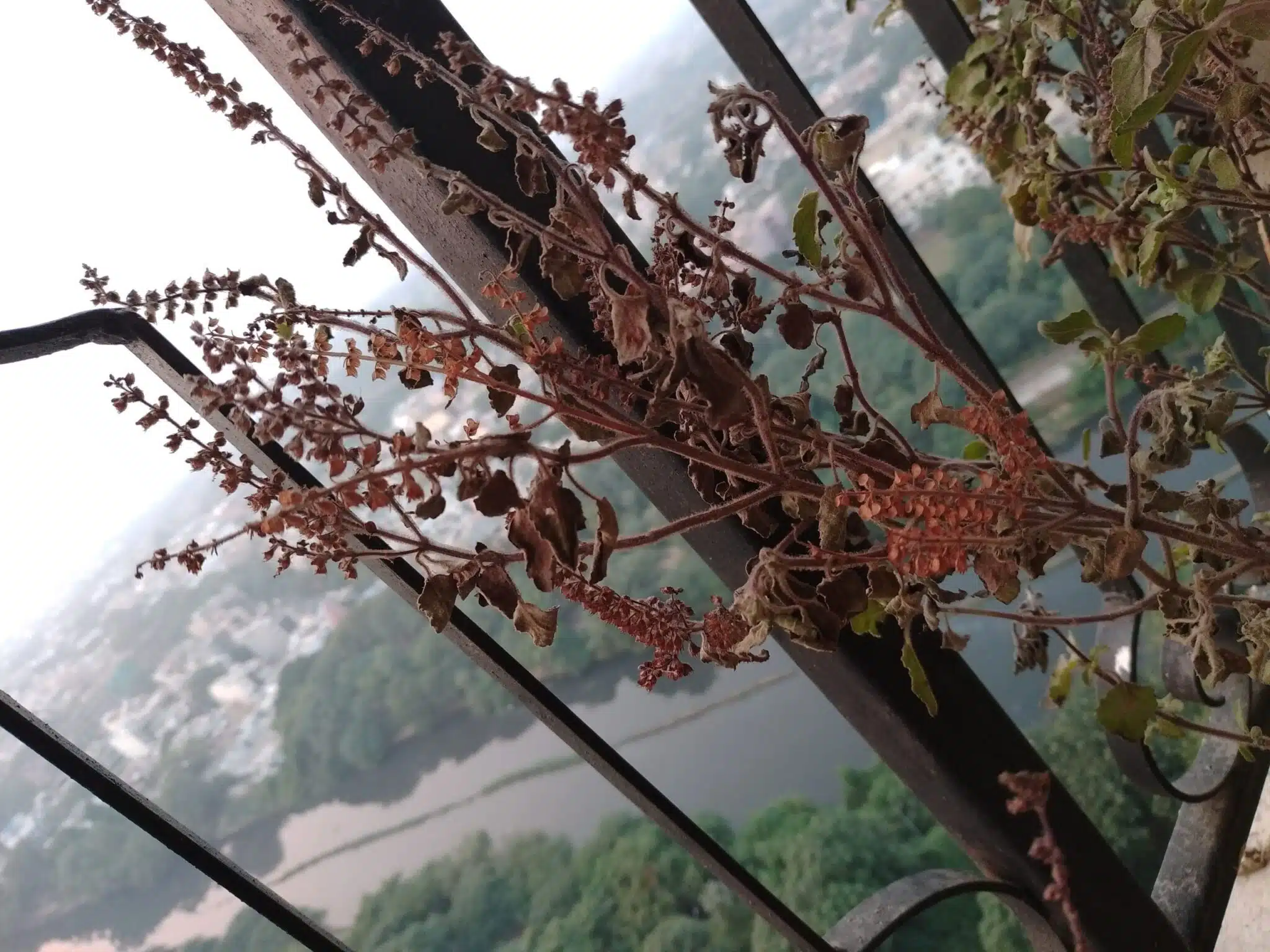 Image03 19 scaled 1 scaled