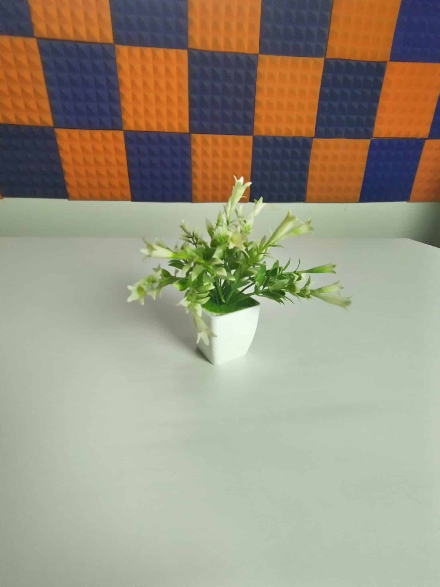 Image03 24 scaled 1 scaled