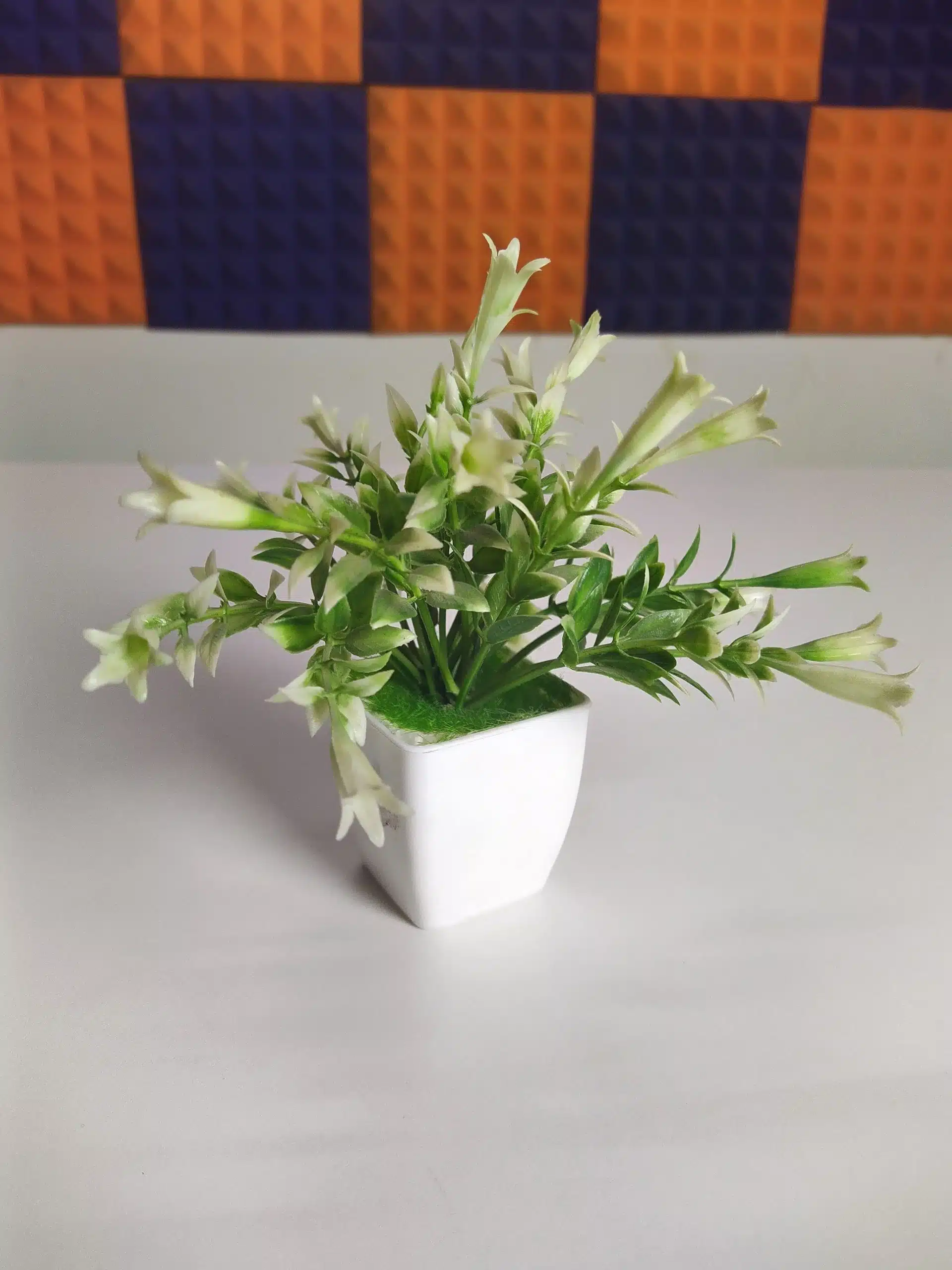 Image04 18 scaled 1 scaled