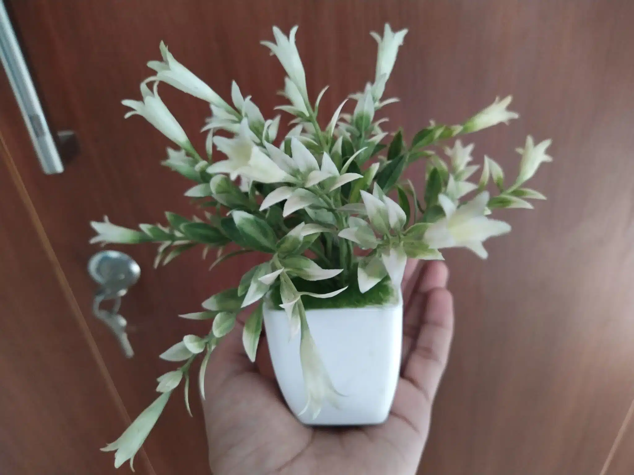 Image06 17 scaled 1 scaled