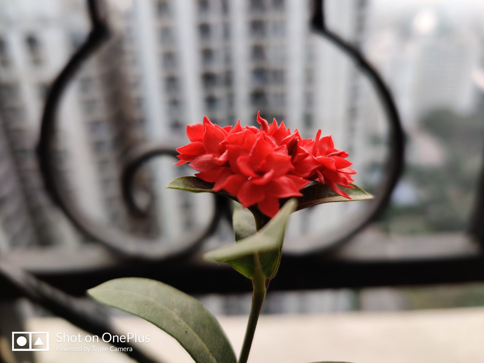 OnePlus 7T Review - The best just got better 16 Image07 11 scaled 1 scaled