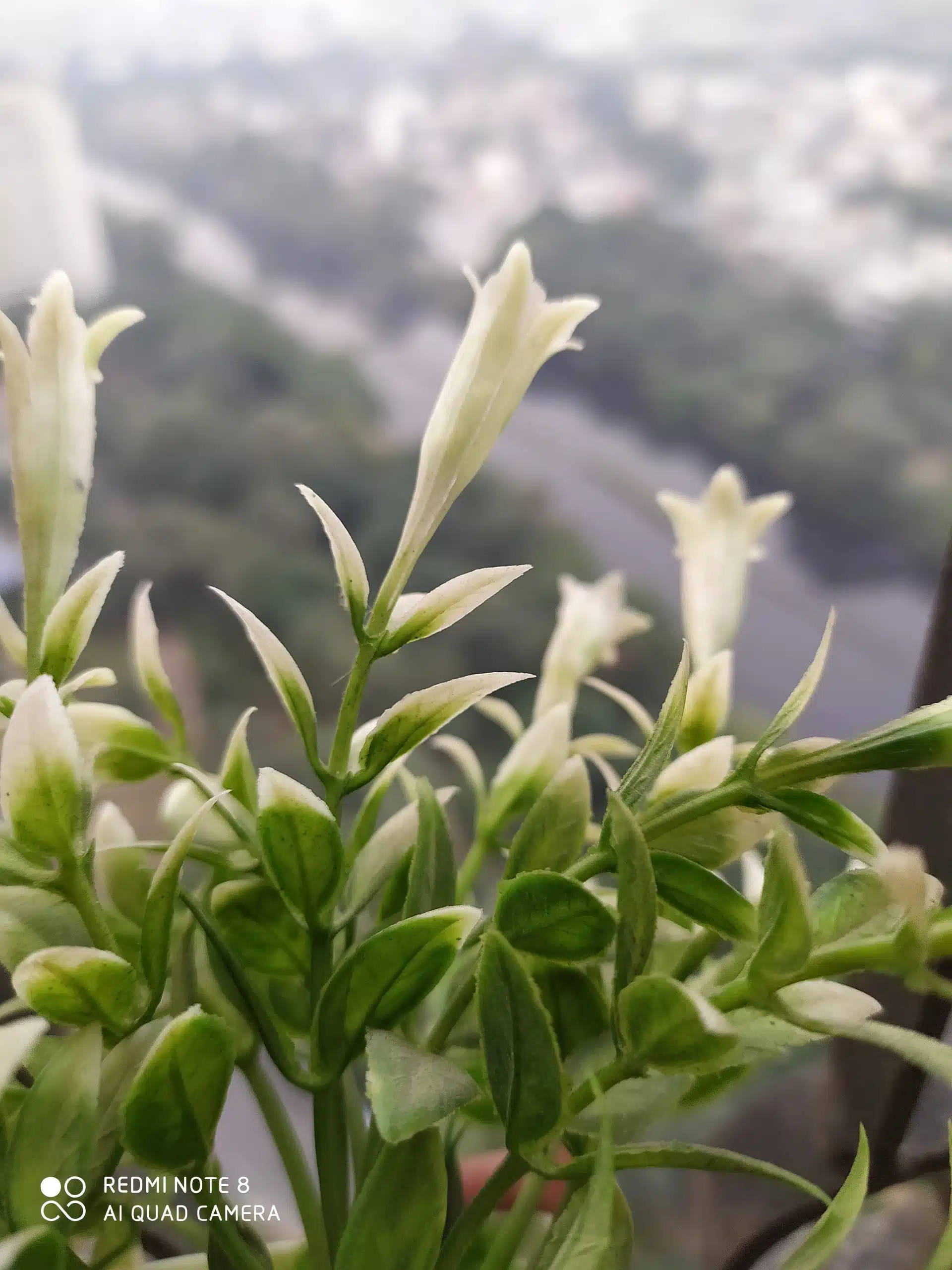 IMG 20191121 184250 scaled 1 scaled