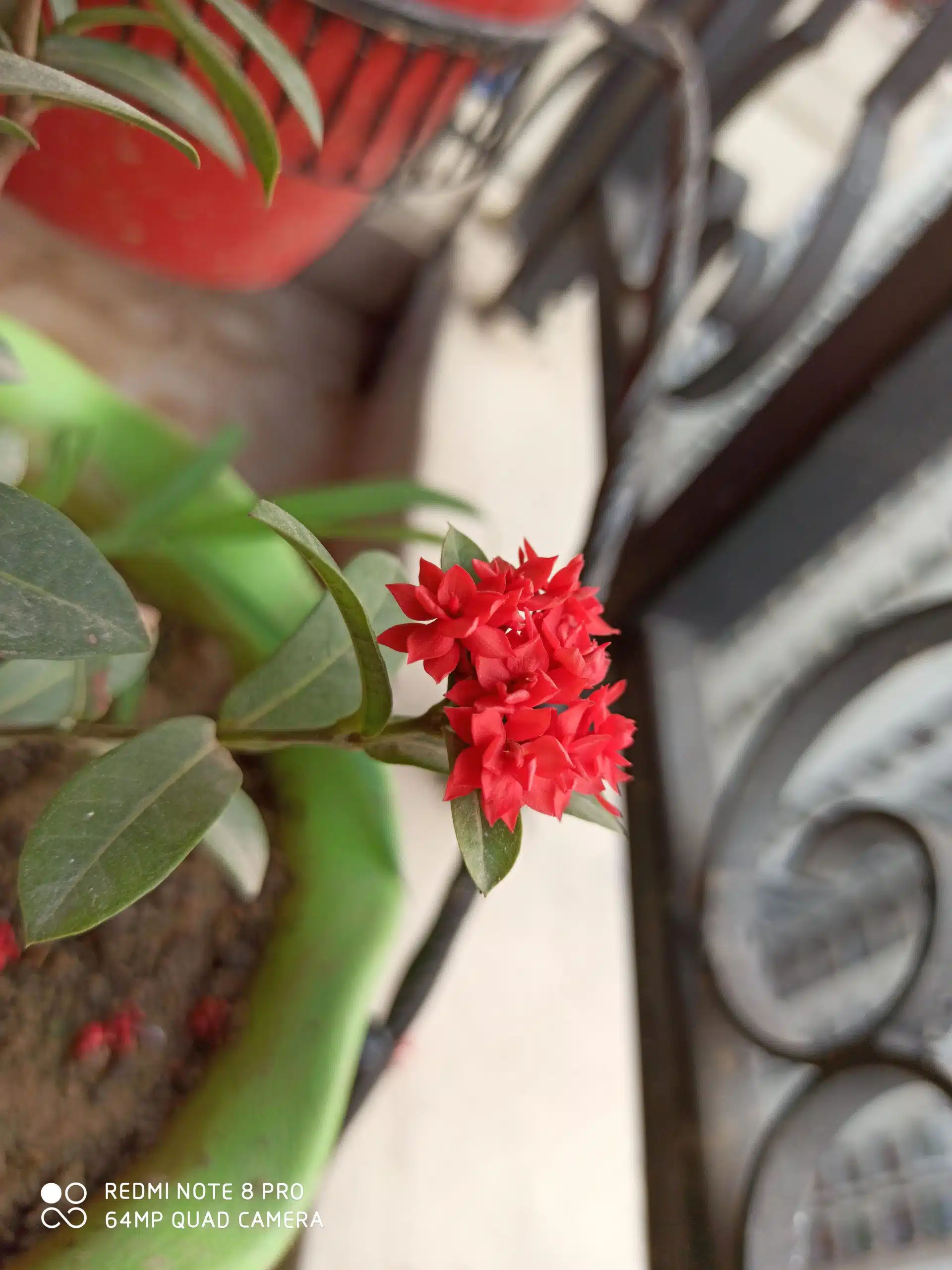 Redmi Note 8 Pro Review - Undoubtedly King of the Ring! 13 Image01 3 scaled 1 scaled