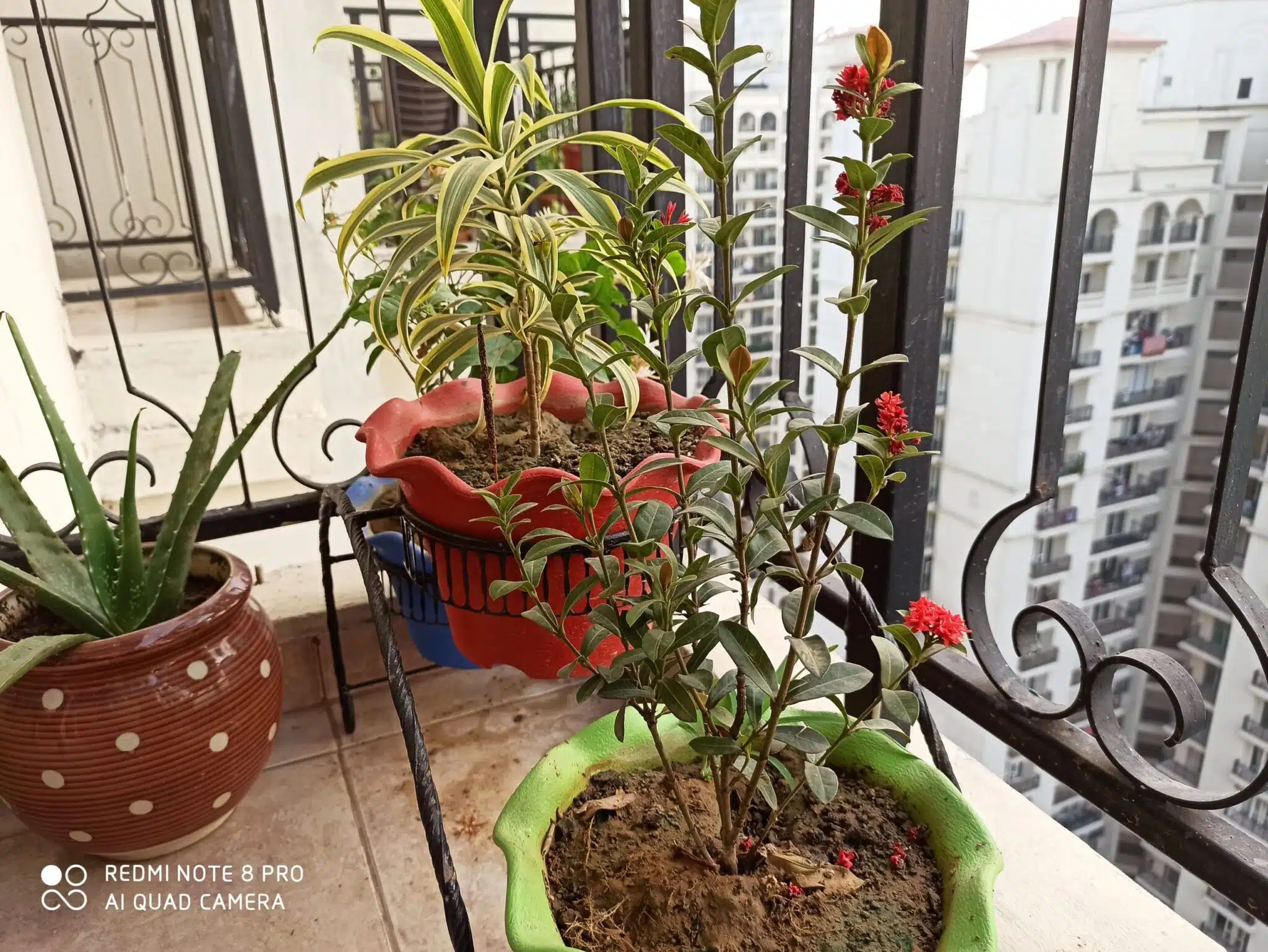 Redmi Note 8 Pro Review - Undoubtedly King of the Ring! 14 Image02 3 scaled 1 scaled