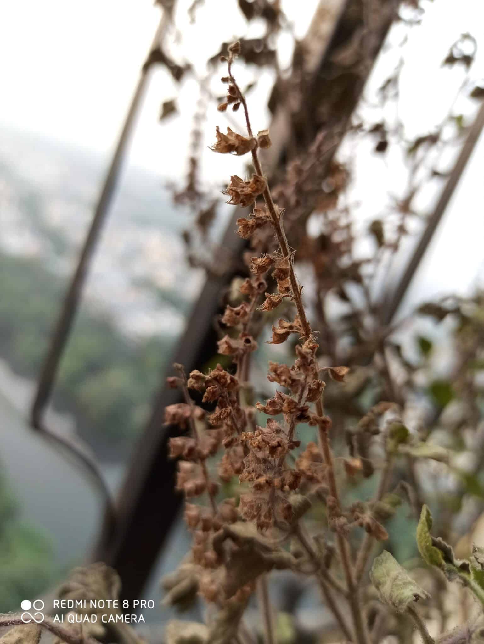 Image04 3 scaled 1 scaled