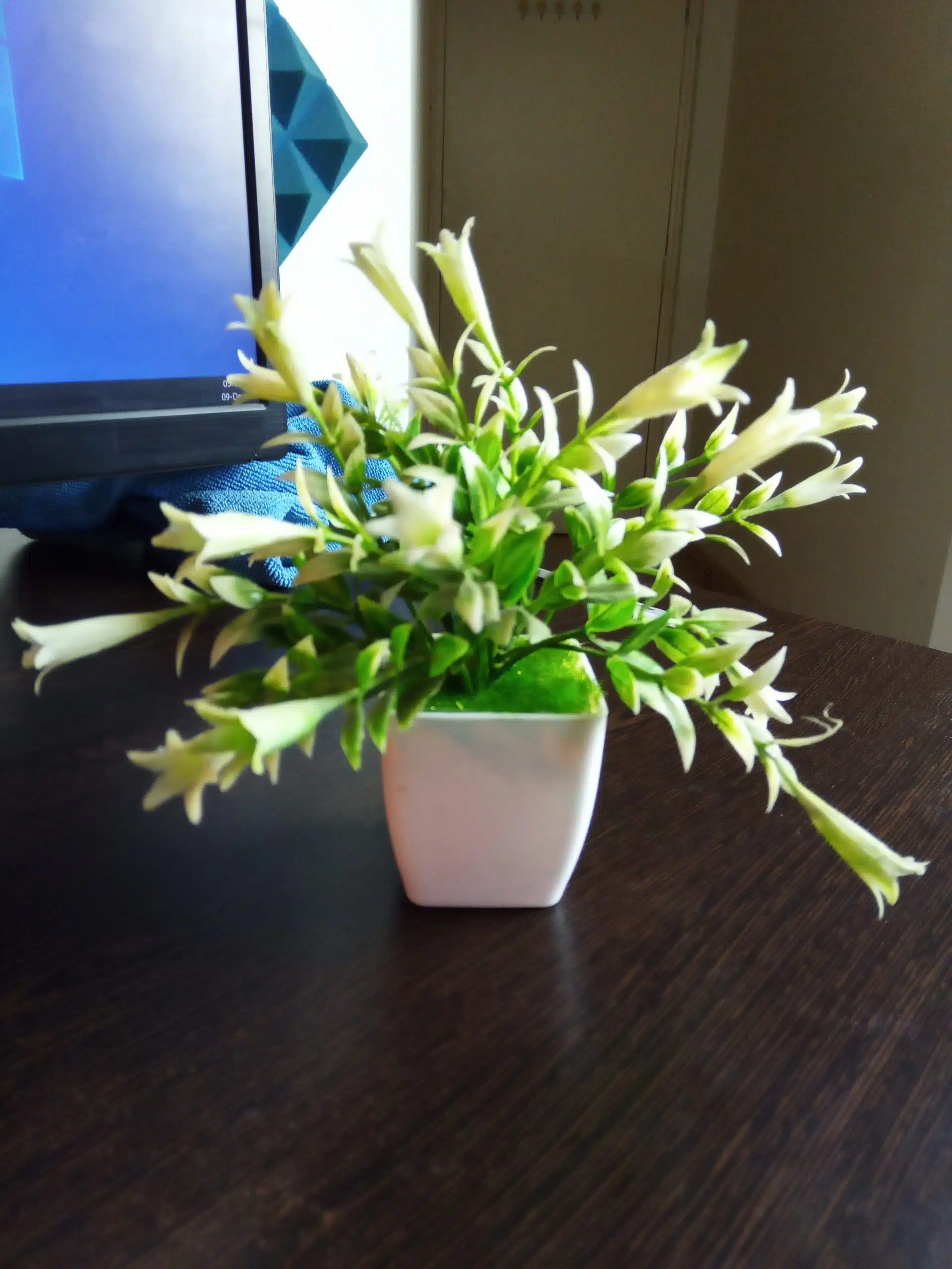 IMG 20191208 141847 scaled 1 scaled