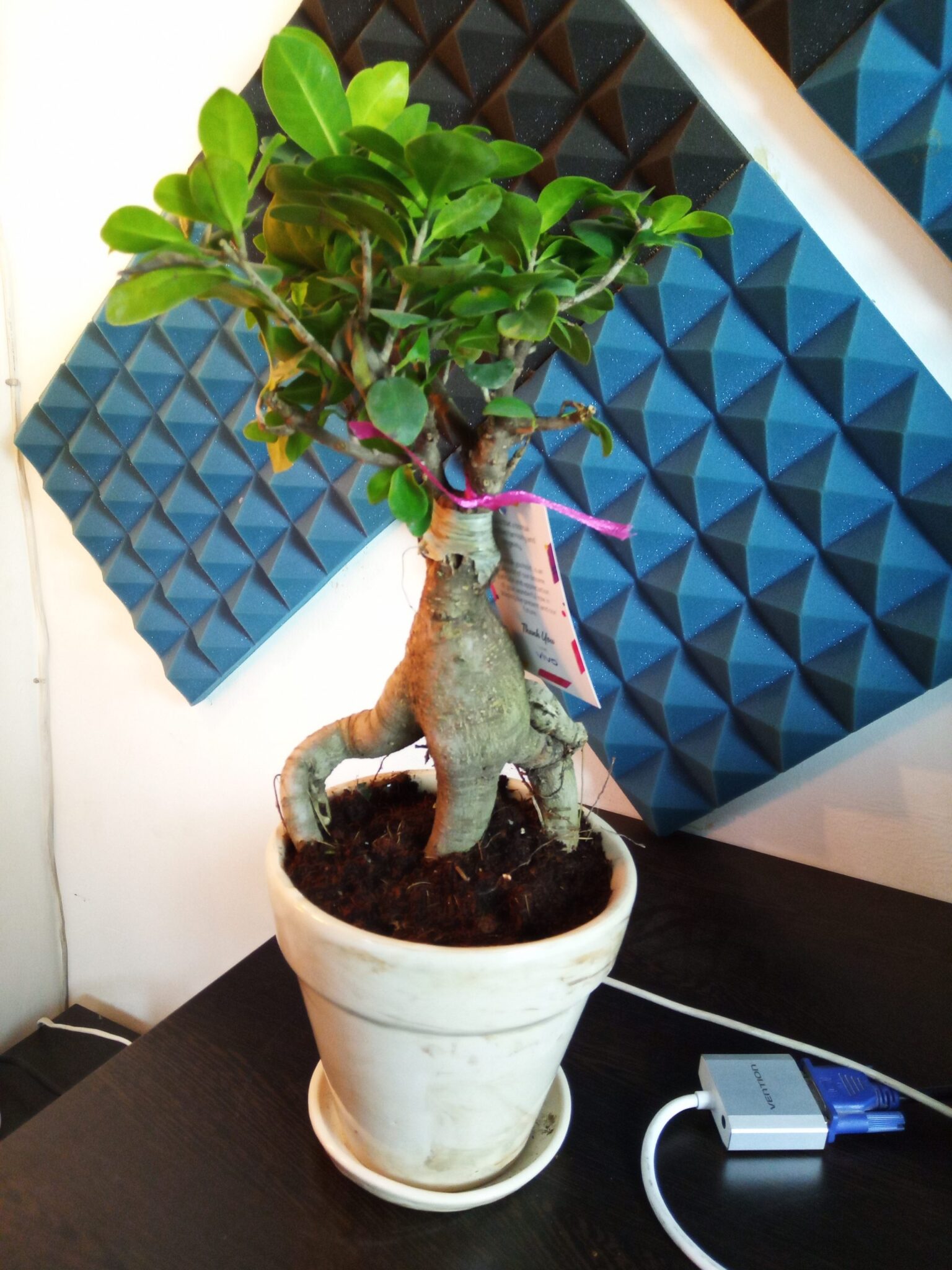 Coolpad Cool 5 Review - Could have been better! 14 IMG 20191208 141902 scaled 1 scaled