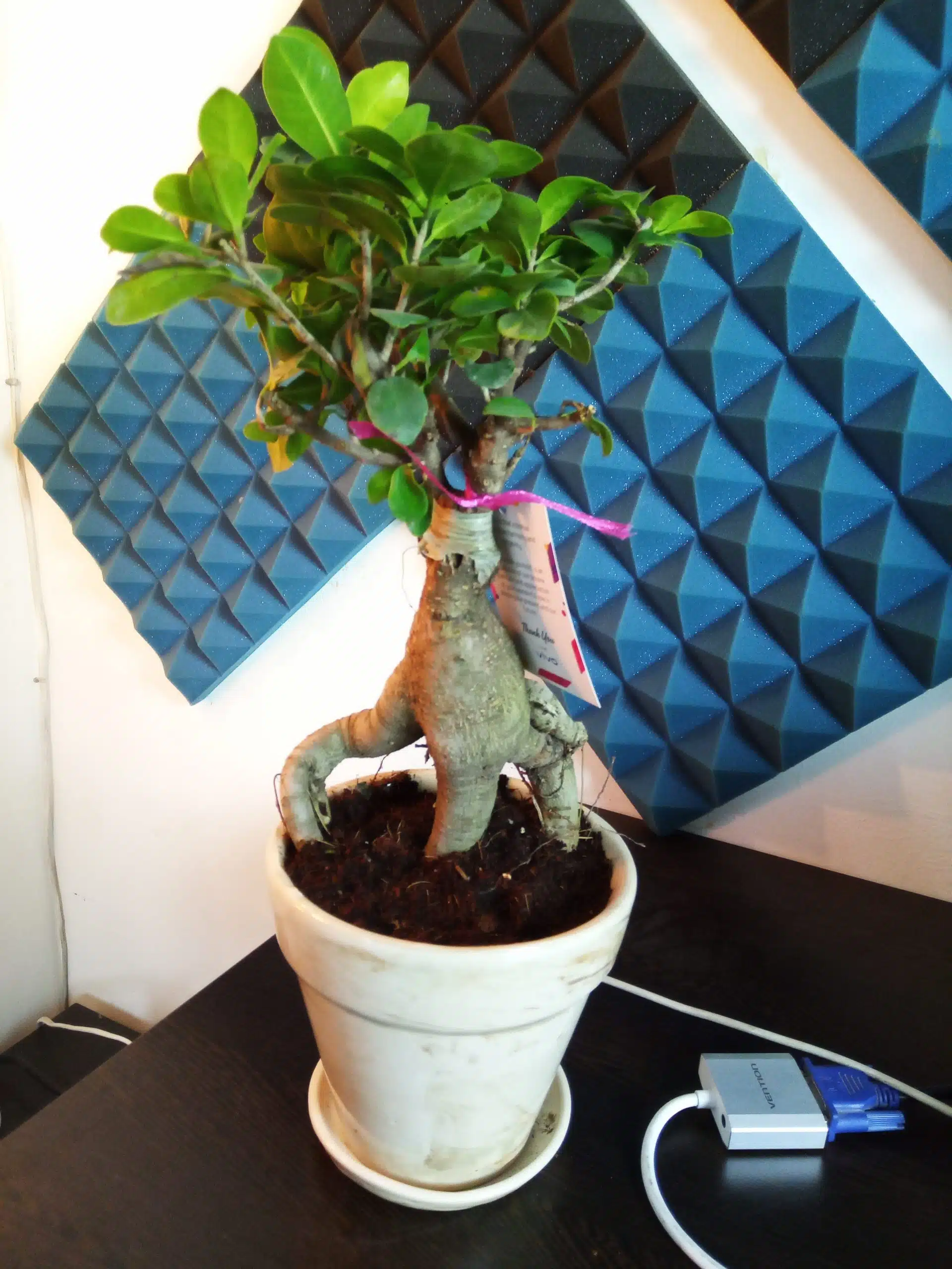 IMG 20191208 141902 scaled 1 scaled