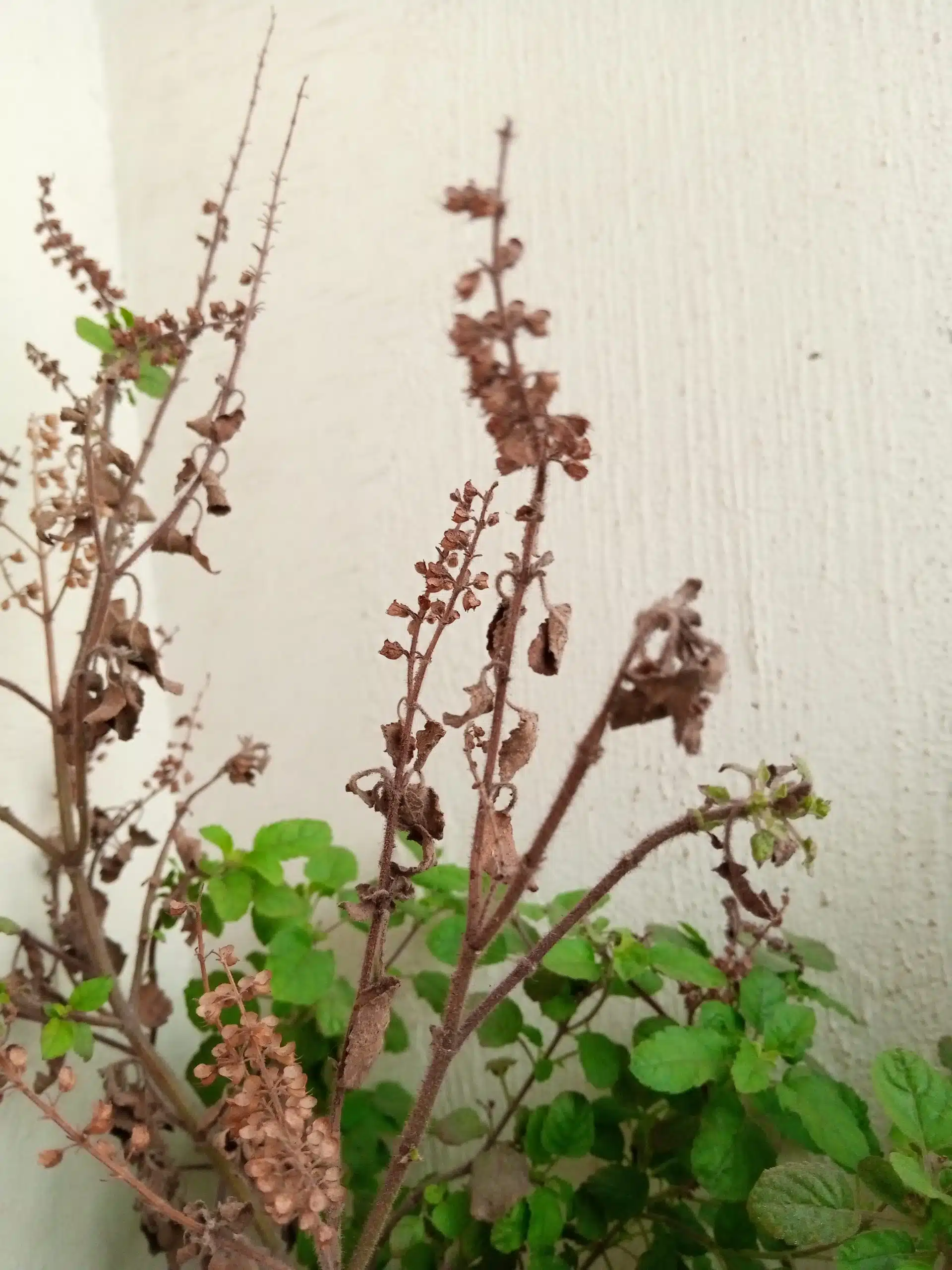 IMG 20191209 121927 869 scaled 1 scaled