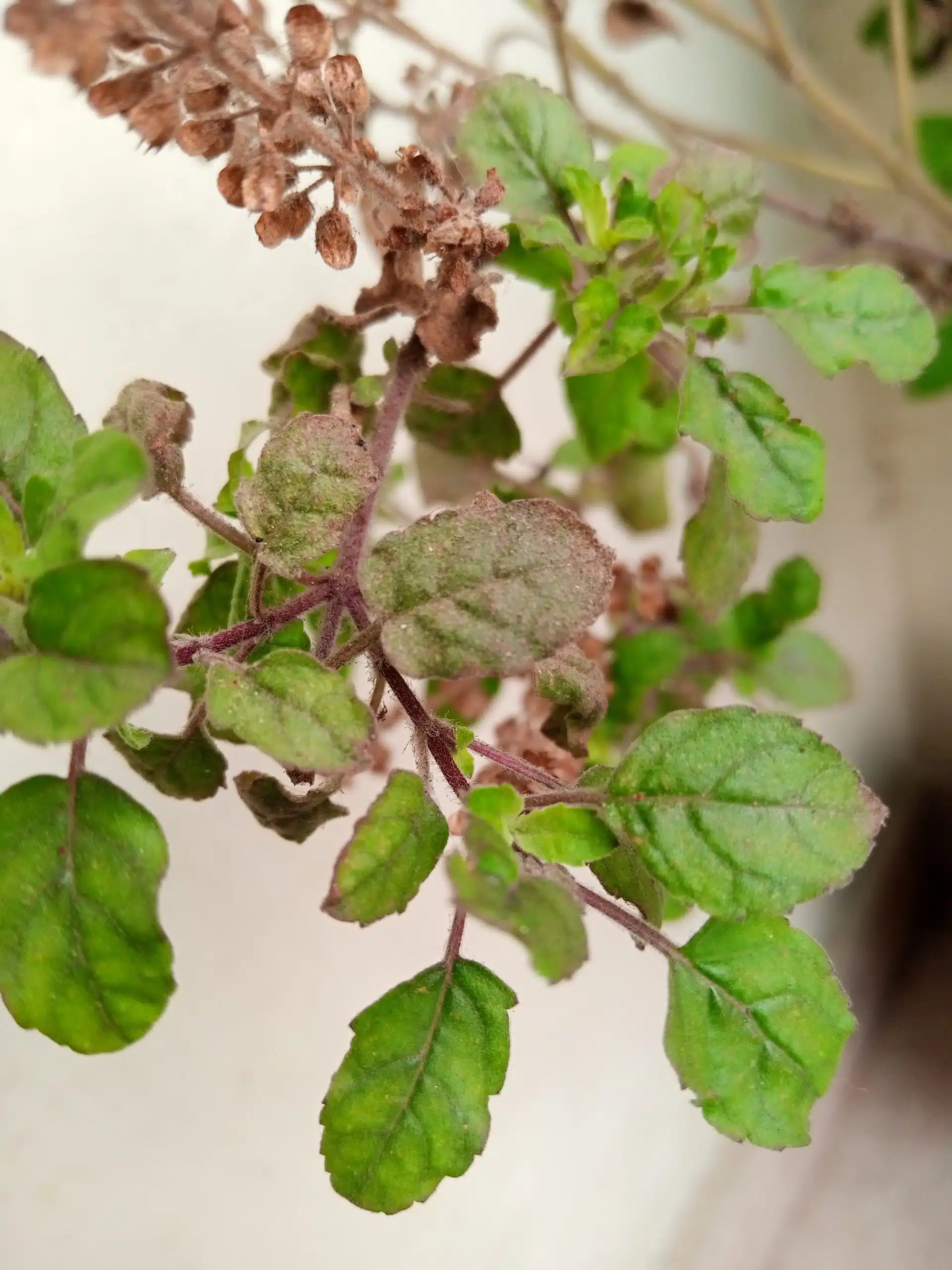 IMG 20191209 121941 330 scaled 1 scaled