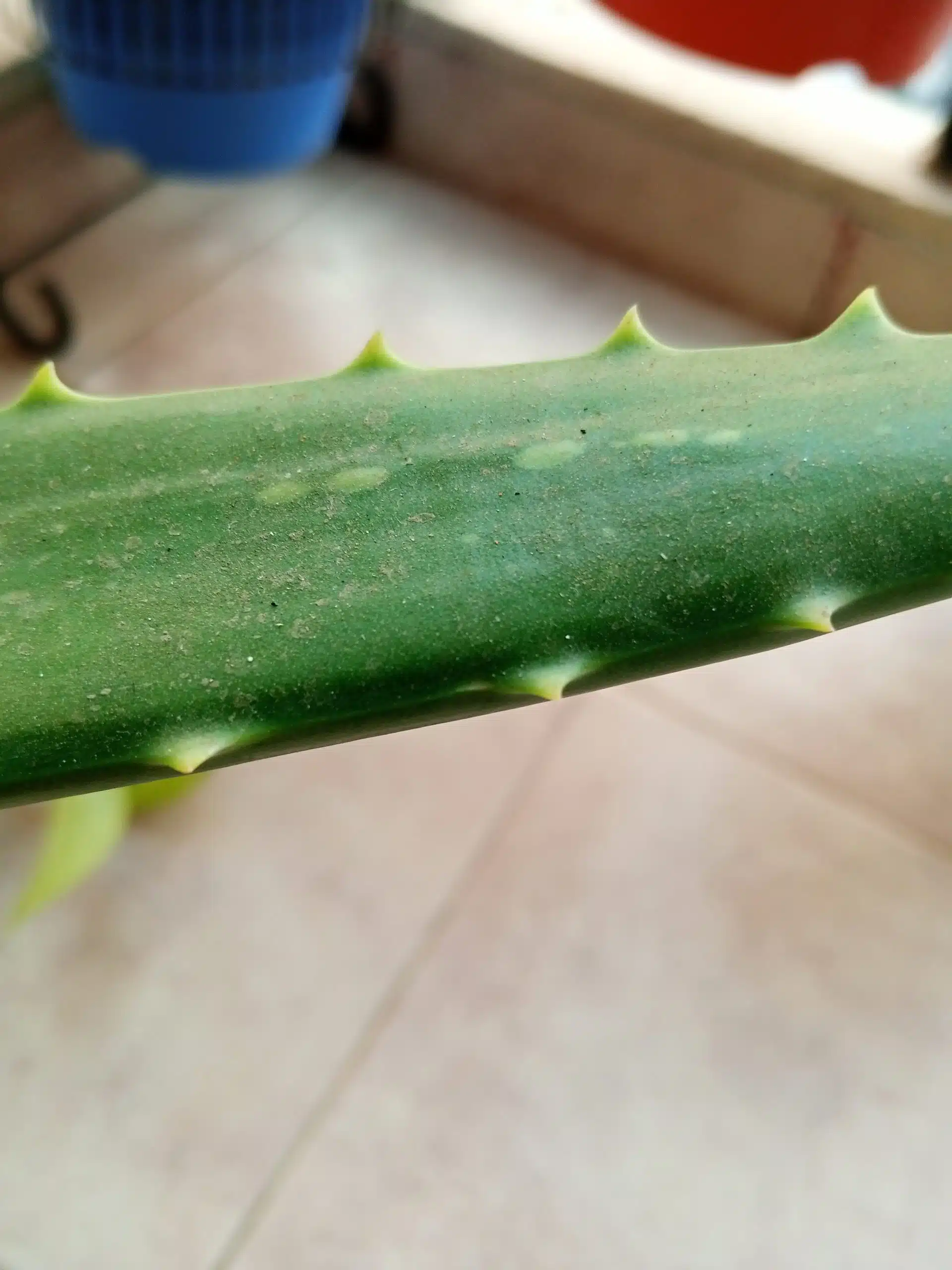 IMG 20191209 121953 142 scaled 1 scaled