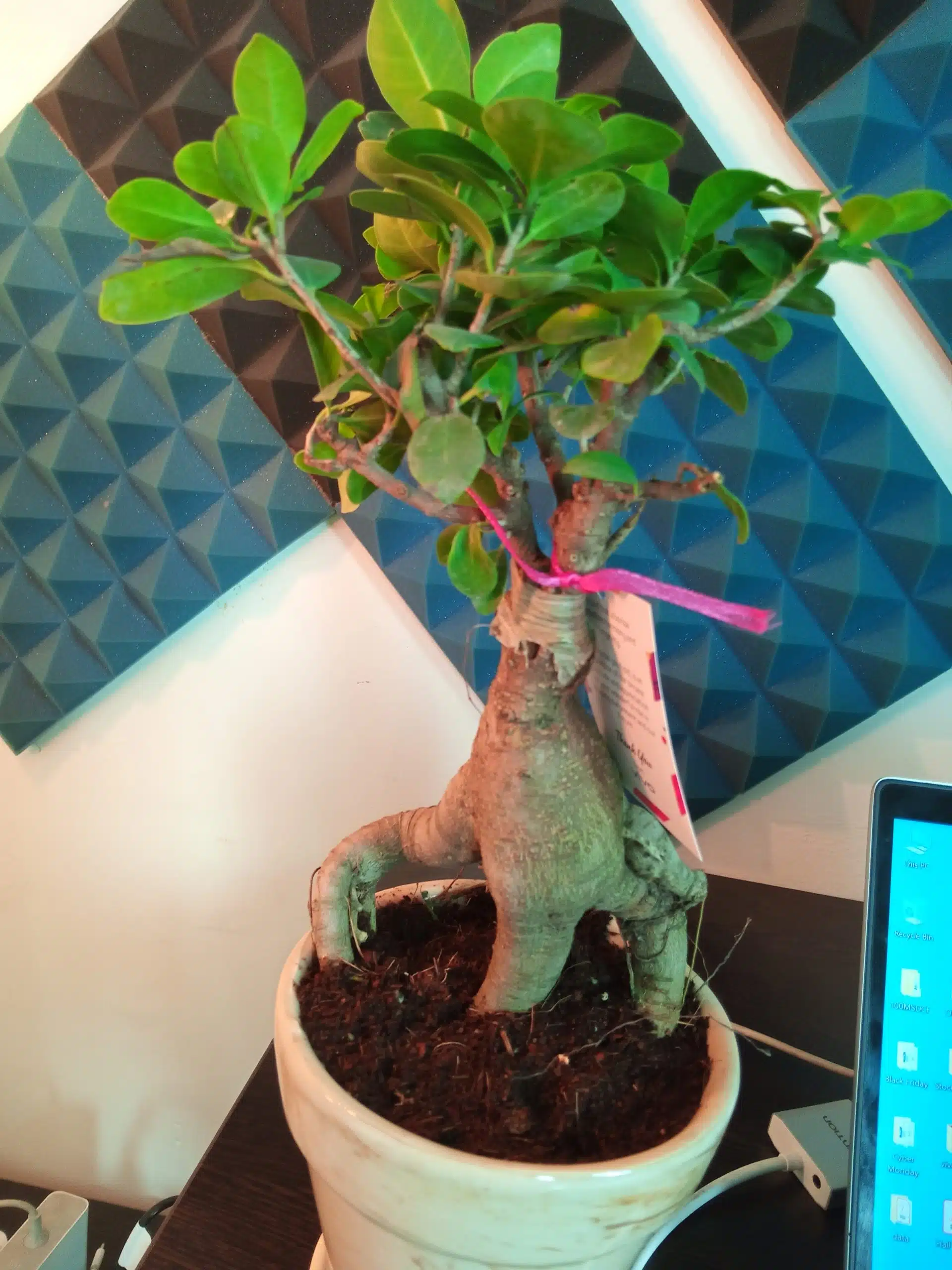 IMG 20191209 122258 491 1 scaled 1 scaled