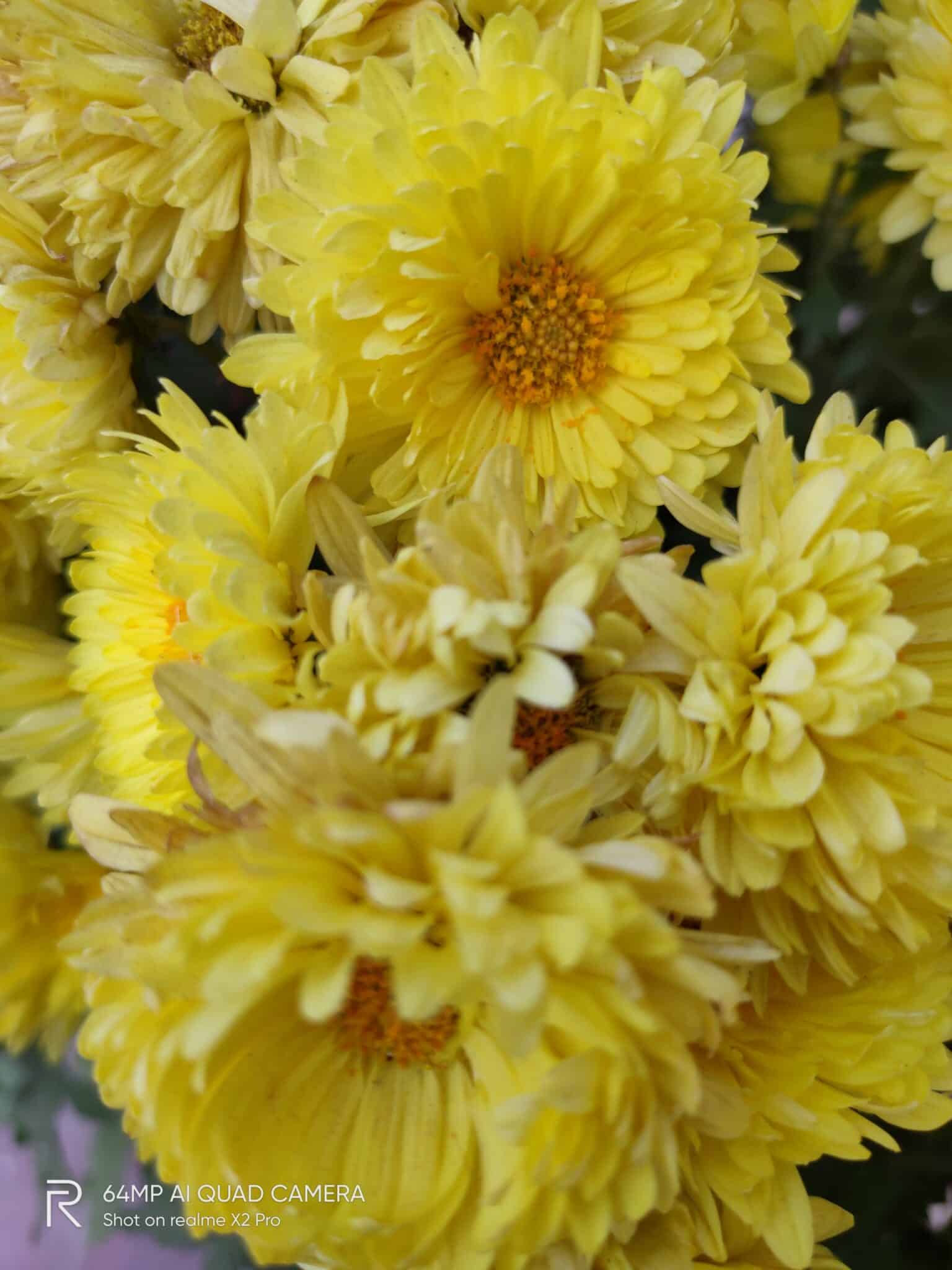 IMG20190117013423 scaled 1 scaled