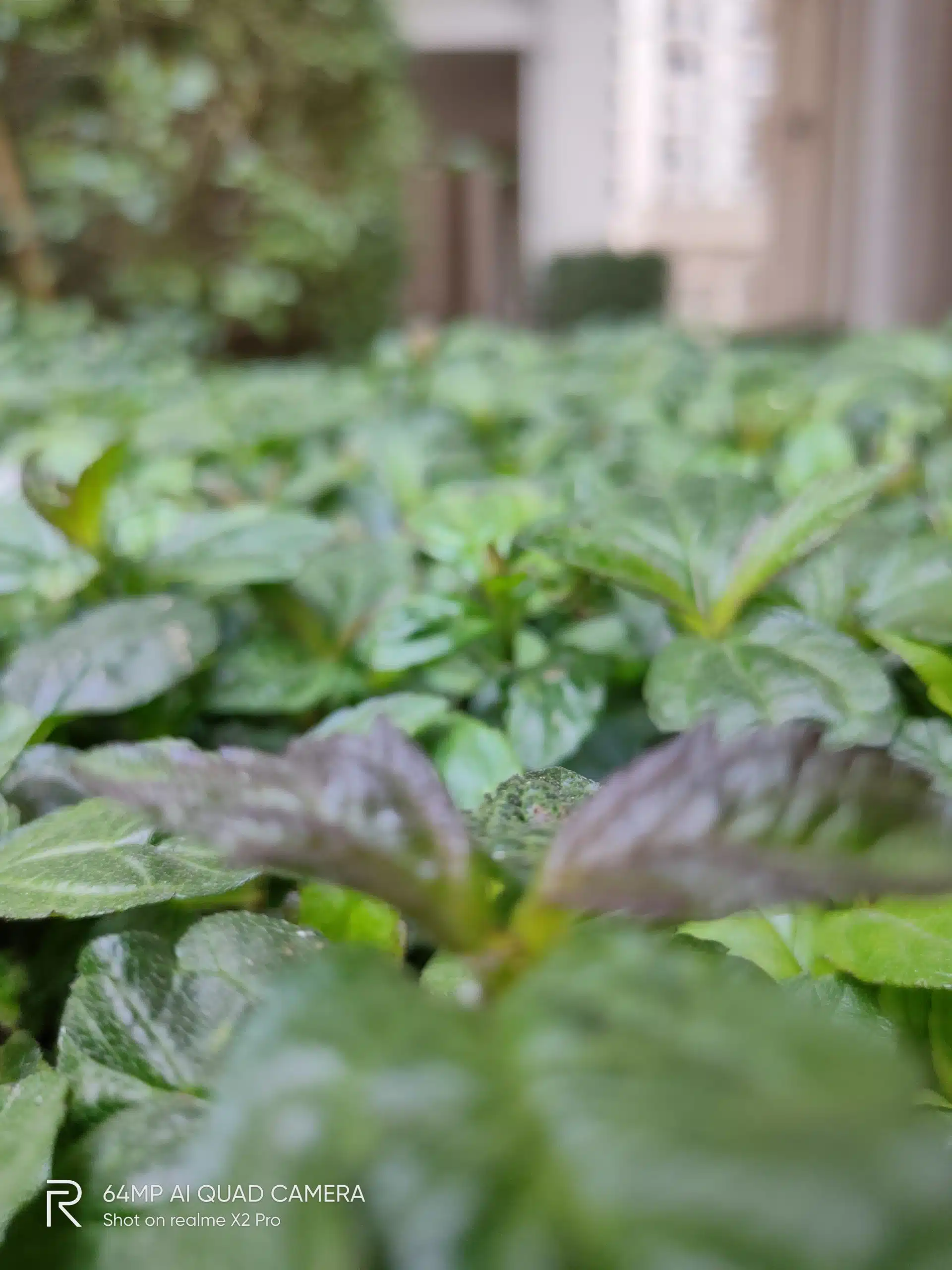 IMG20190117013923 scaled 1 scaled