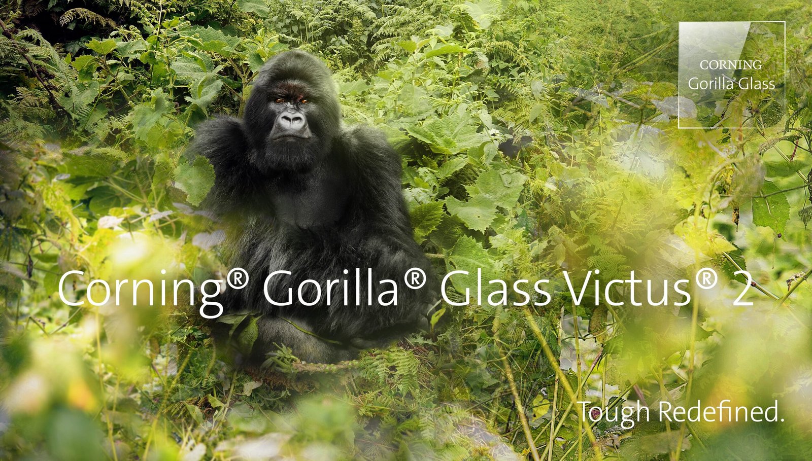 Corning Gorilla Glass Victus 2 scaled