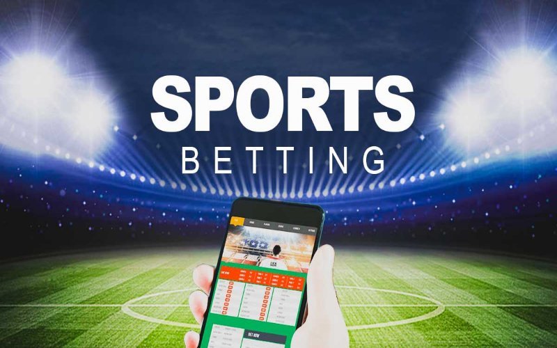 Online Sports Betting – A Complete Guide For Beginners