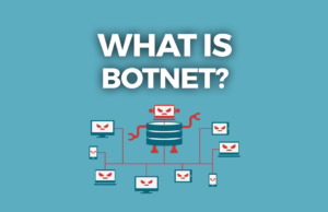 What is a botnet and botnet attack?