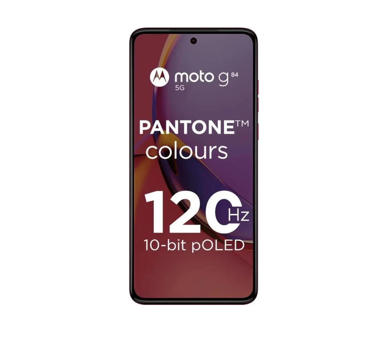 WhatsApp Image 2023 09 02 at 2.12.45 PM