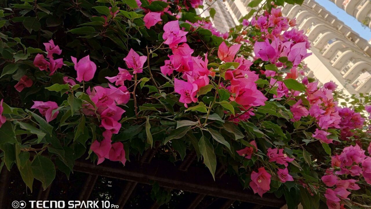 Tecno Spark 10 Pro Moon Explorer Edition Review