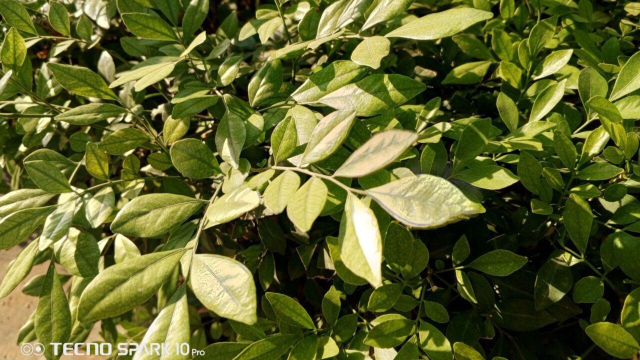 Tecno Spark 10 Pro Moon Explorer Edition Review