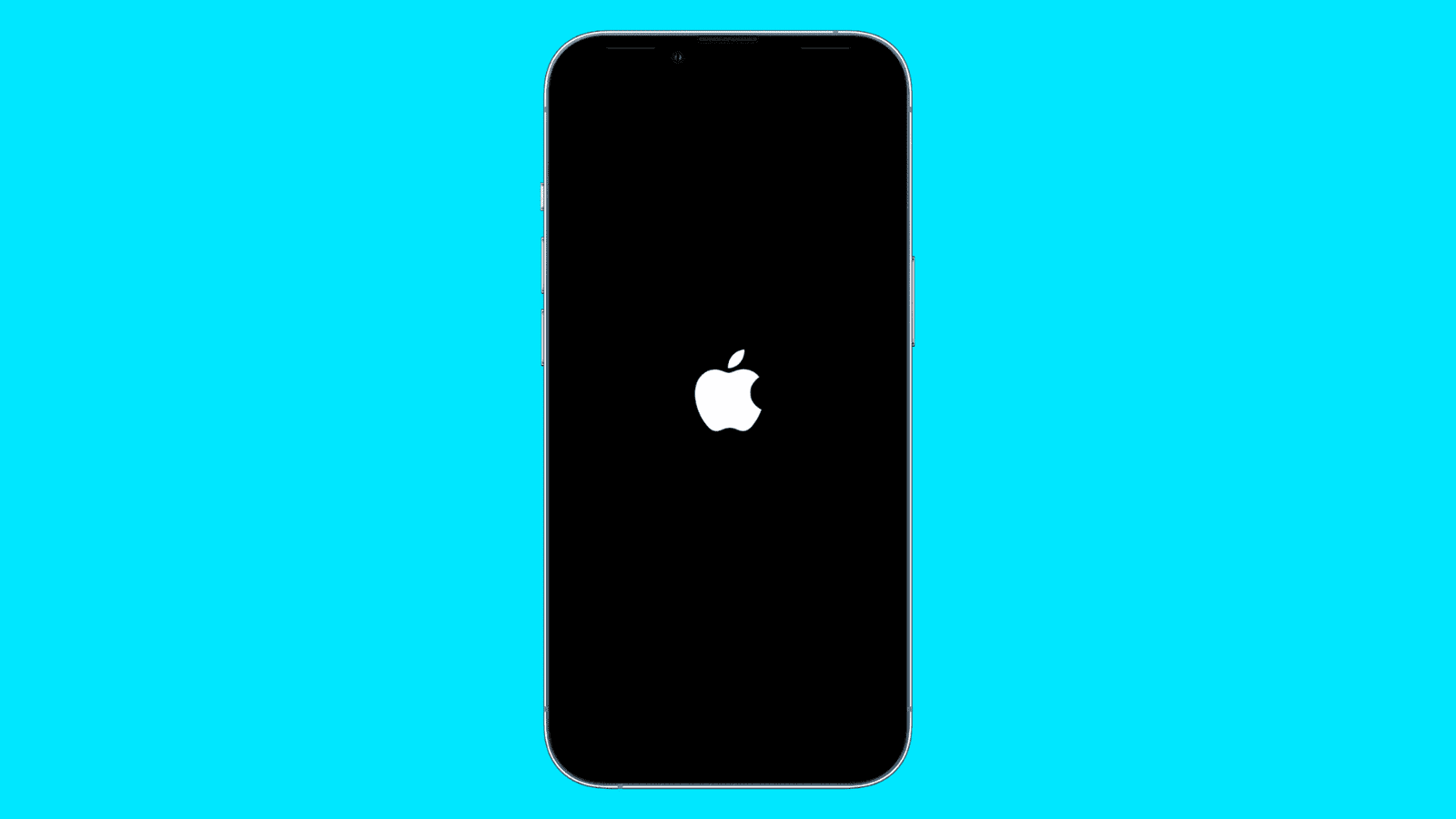 iPhone Apple logo