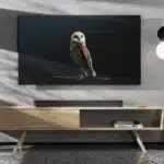 Enhance Home Cricket Viewing with Advanced Audio-Video Tech